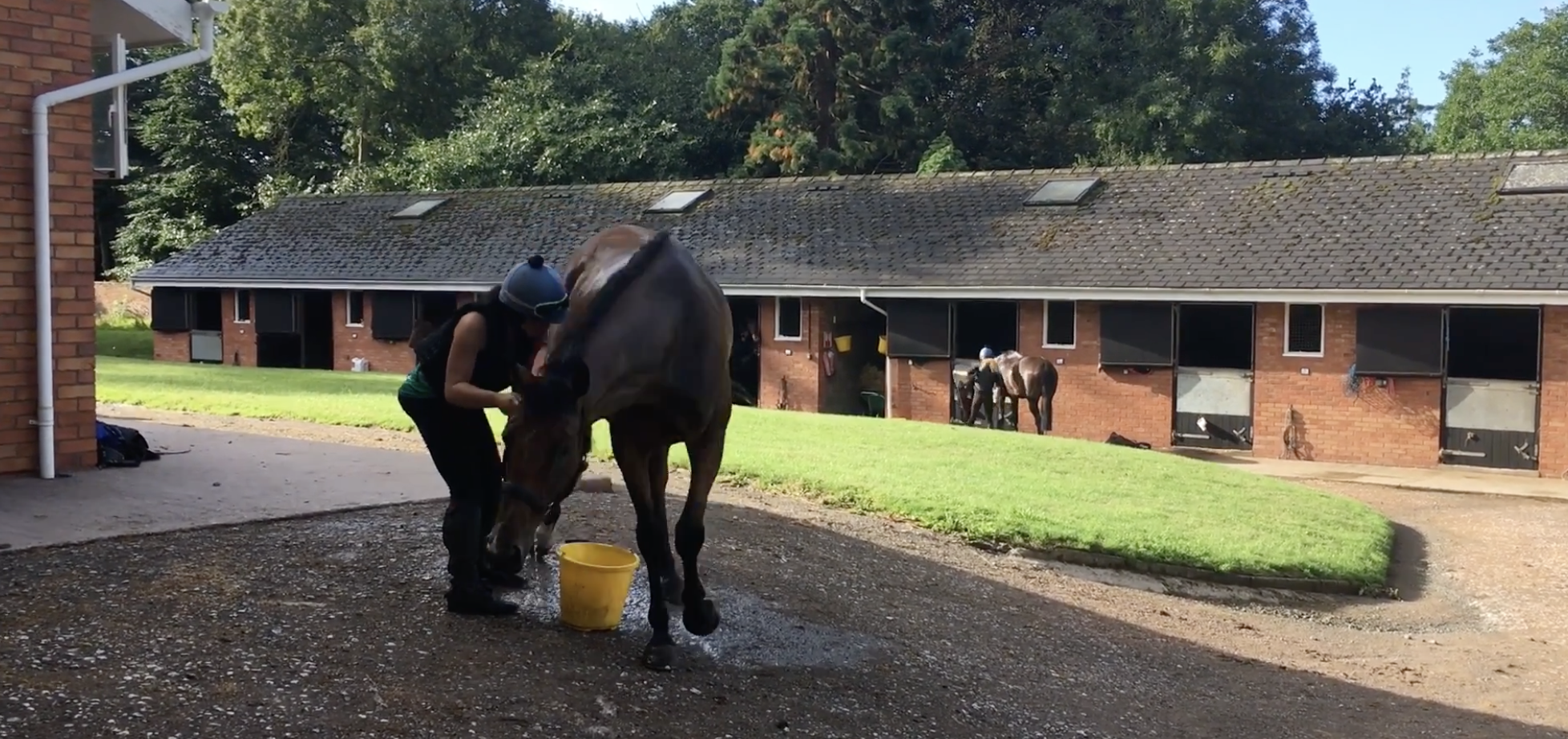 Screenshot 2026-01-30 at 10.39.03.png