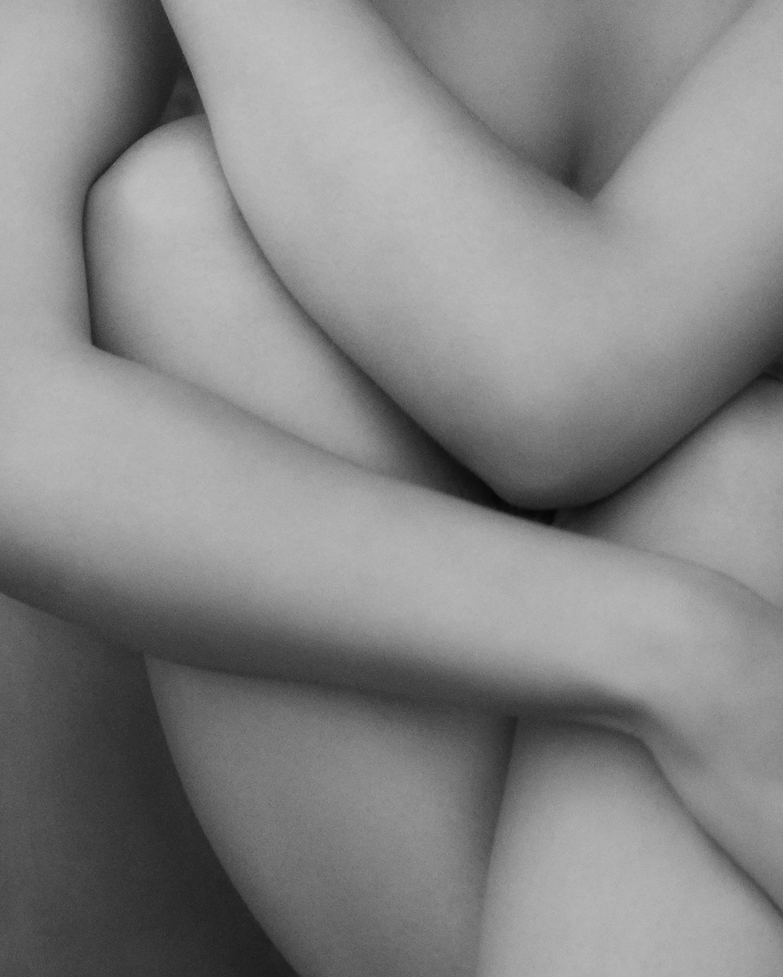 THE EMBRACE