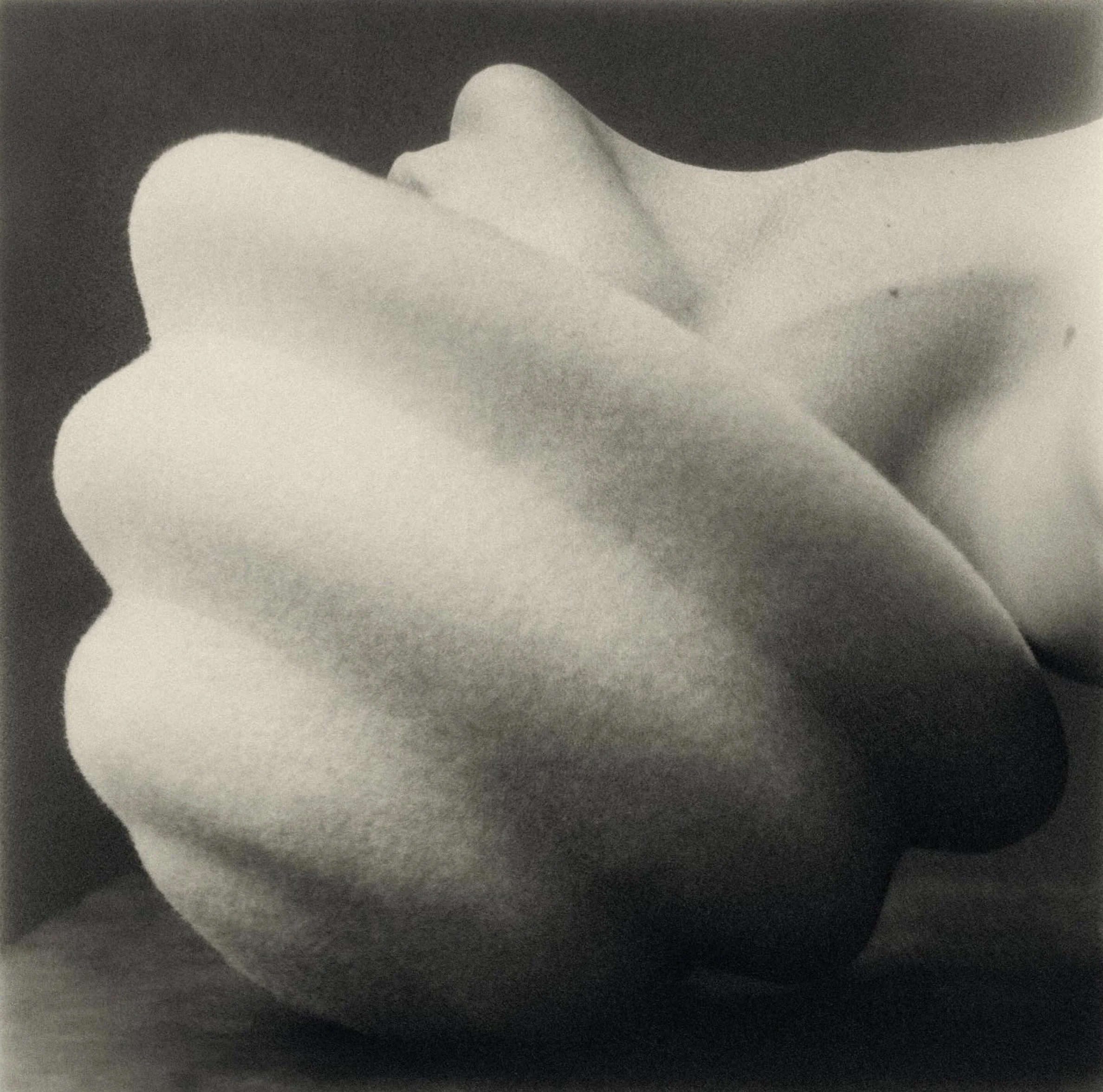 Capture d’écran 2026-02-24 à 10.31.28.jpg