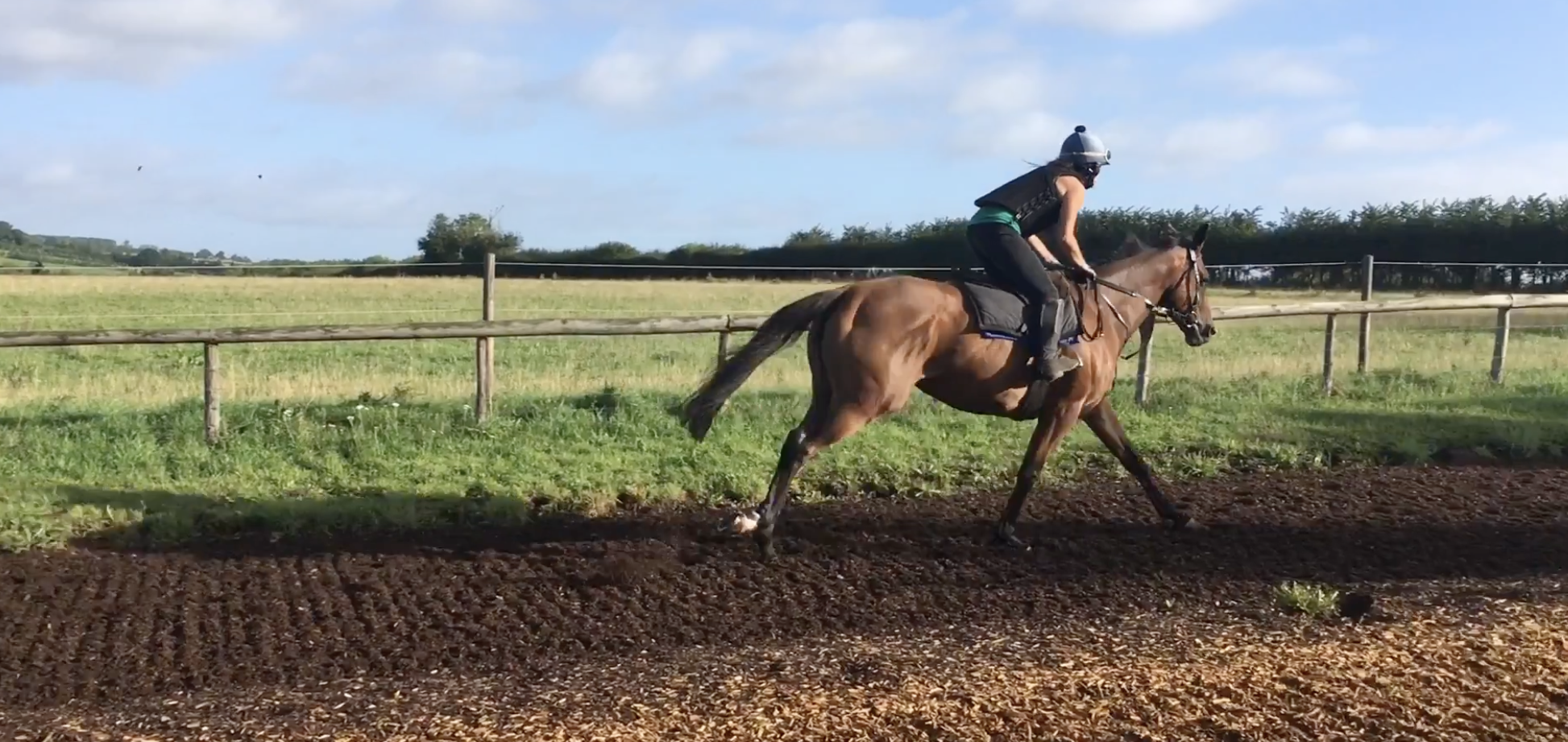 Screenshot 2026-01-30 at 10.41.01.png