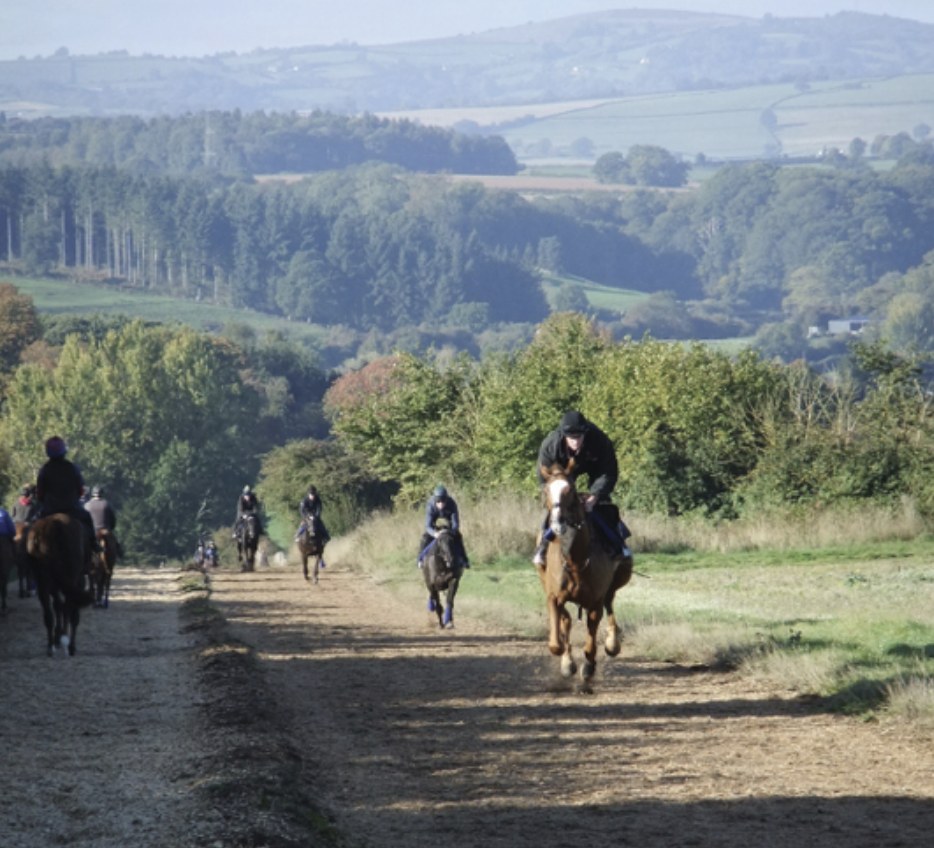 Screenshot 2026-01-30 at 10.38.52.png