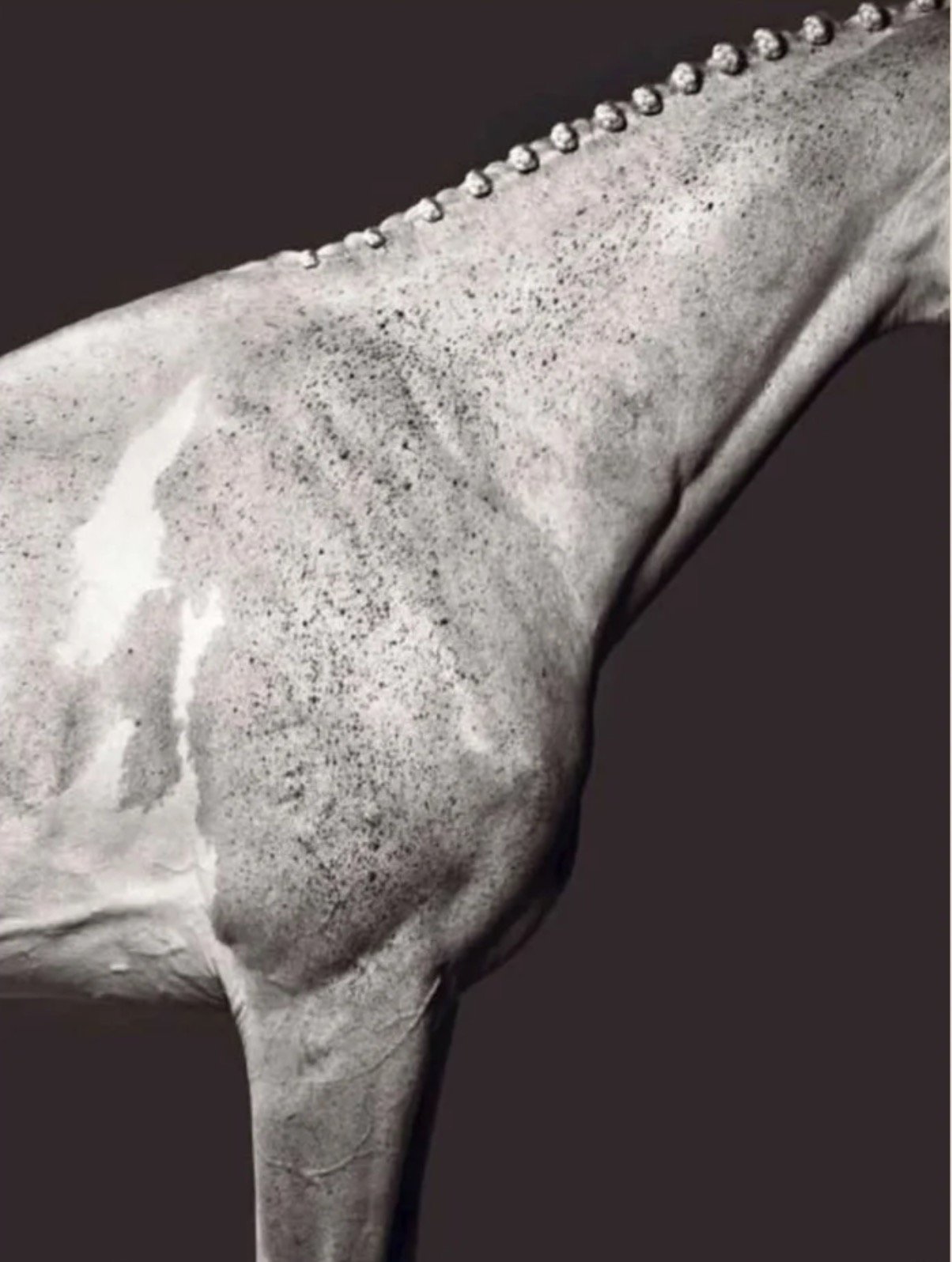 Capture d’écran 2026-04-27 à 16.42.24.jpg