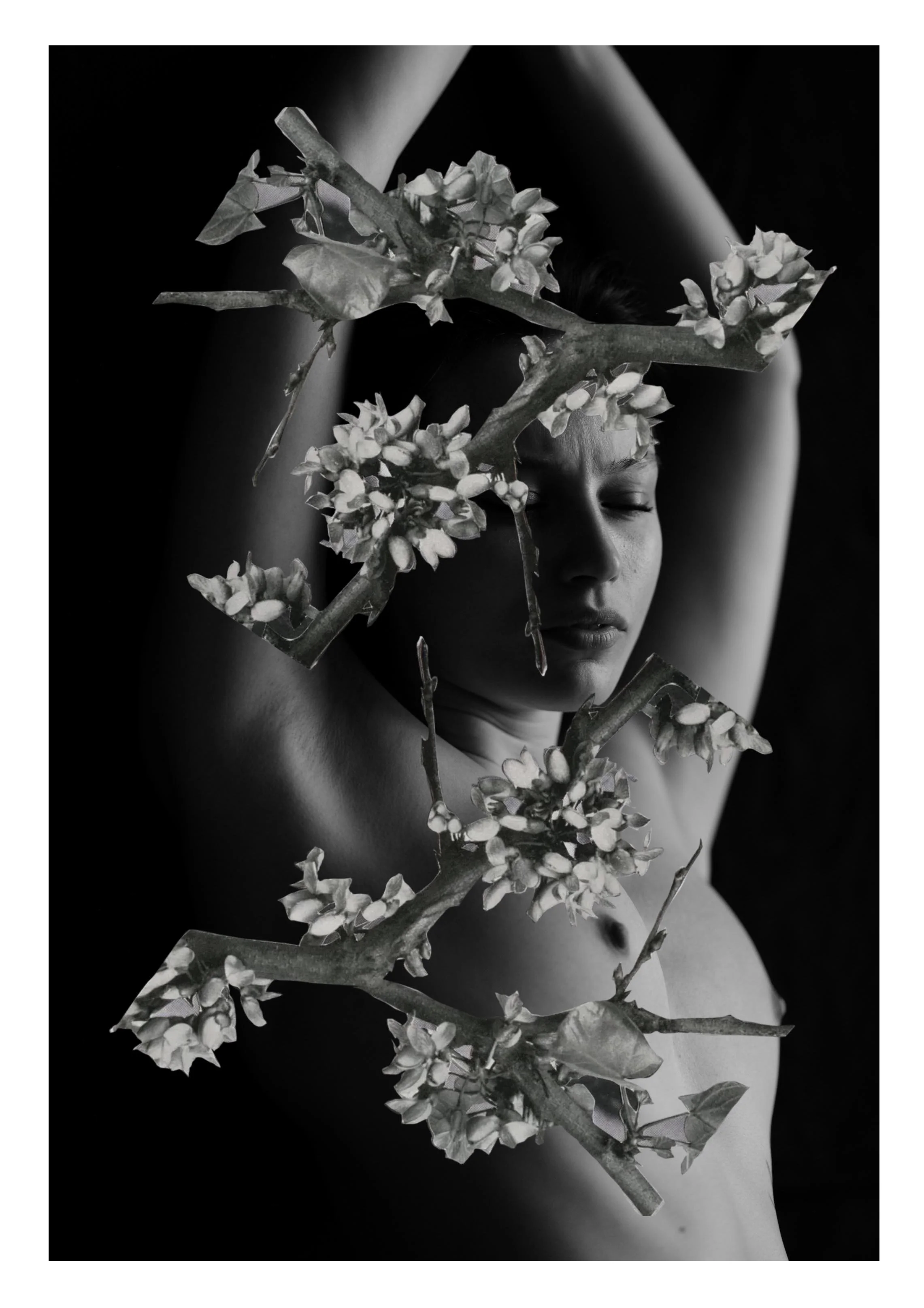 Kate @ Franz Galo 0118 2.jpg