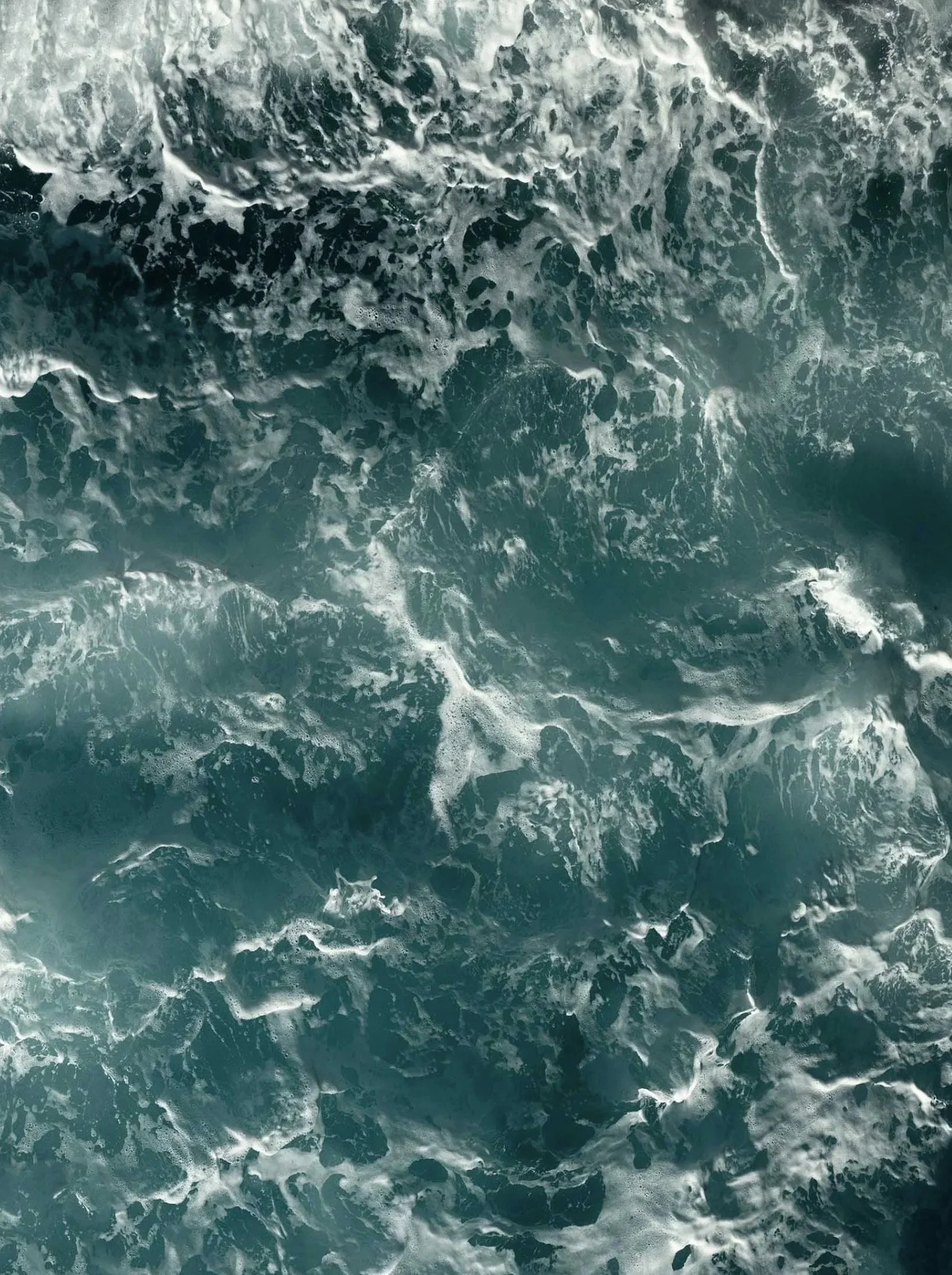 Franz Galo Expo 013.jpg