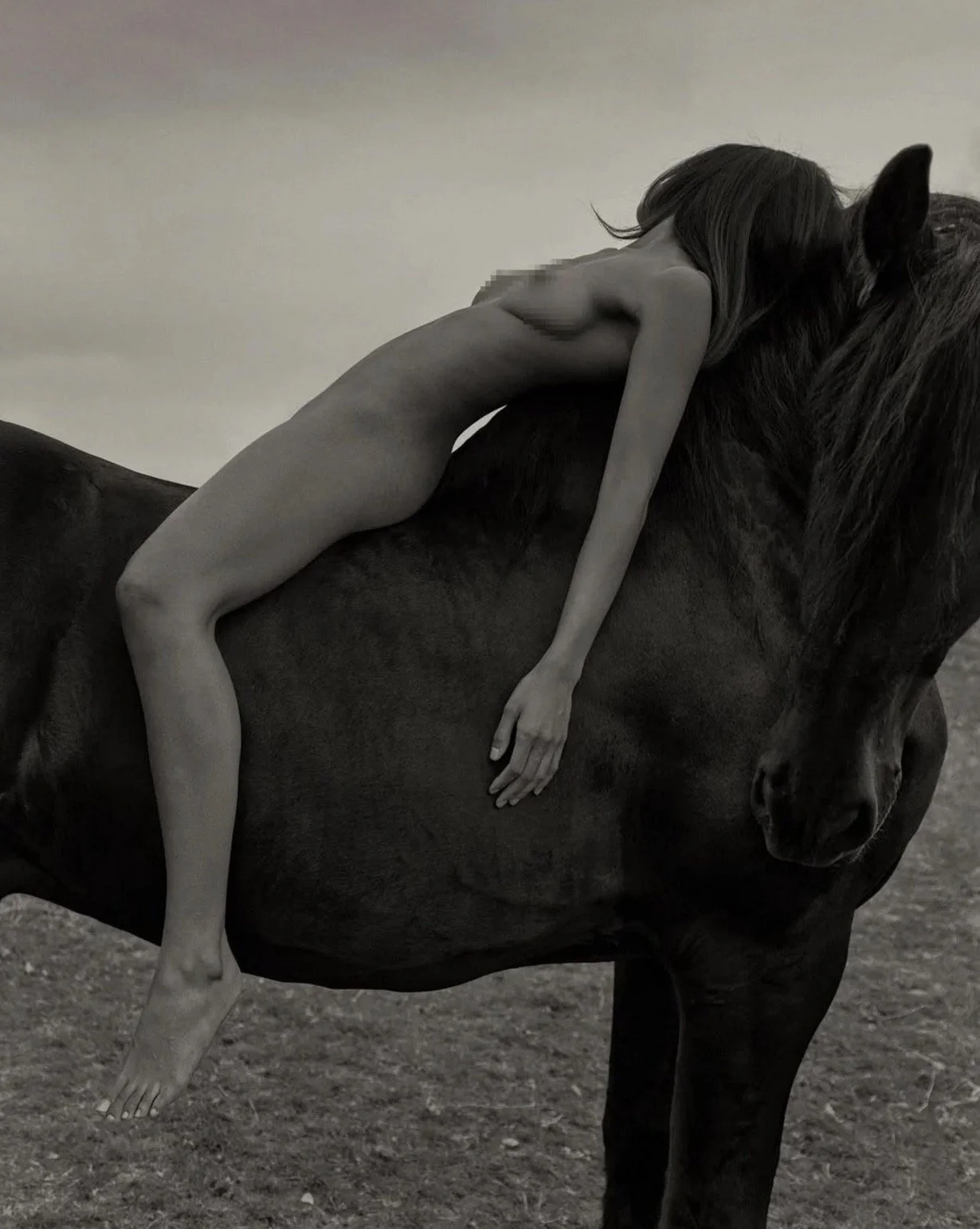 Horse 076.jpg