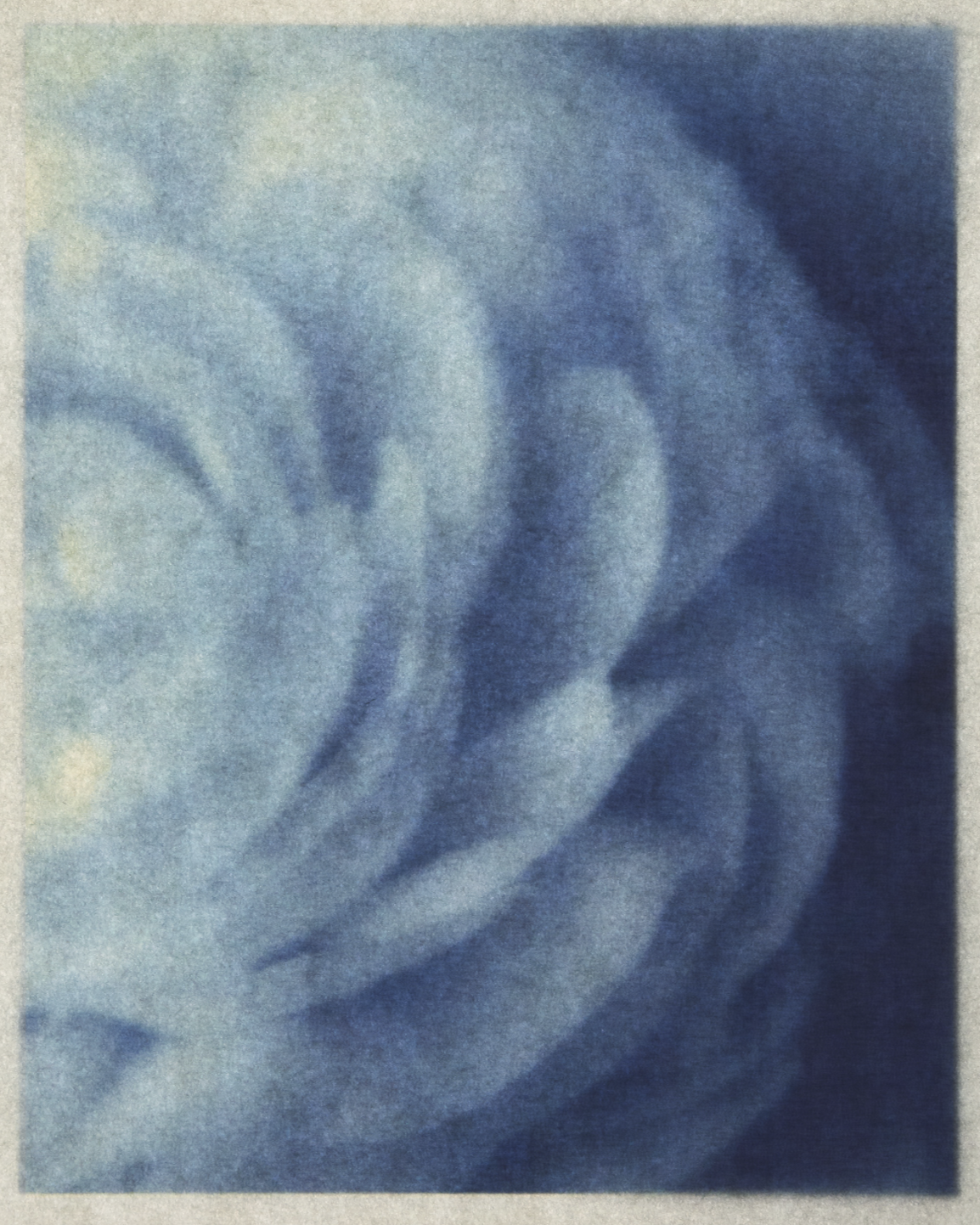 NAILA 035.png