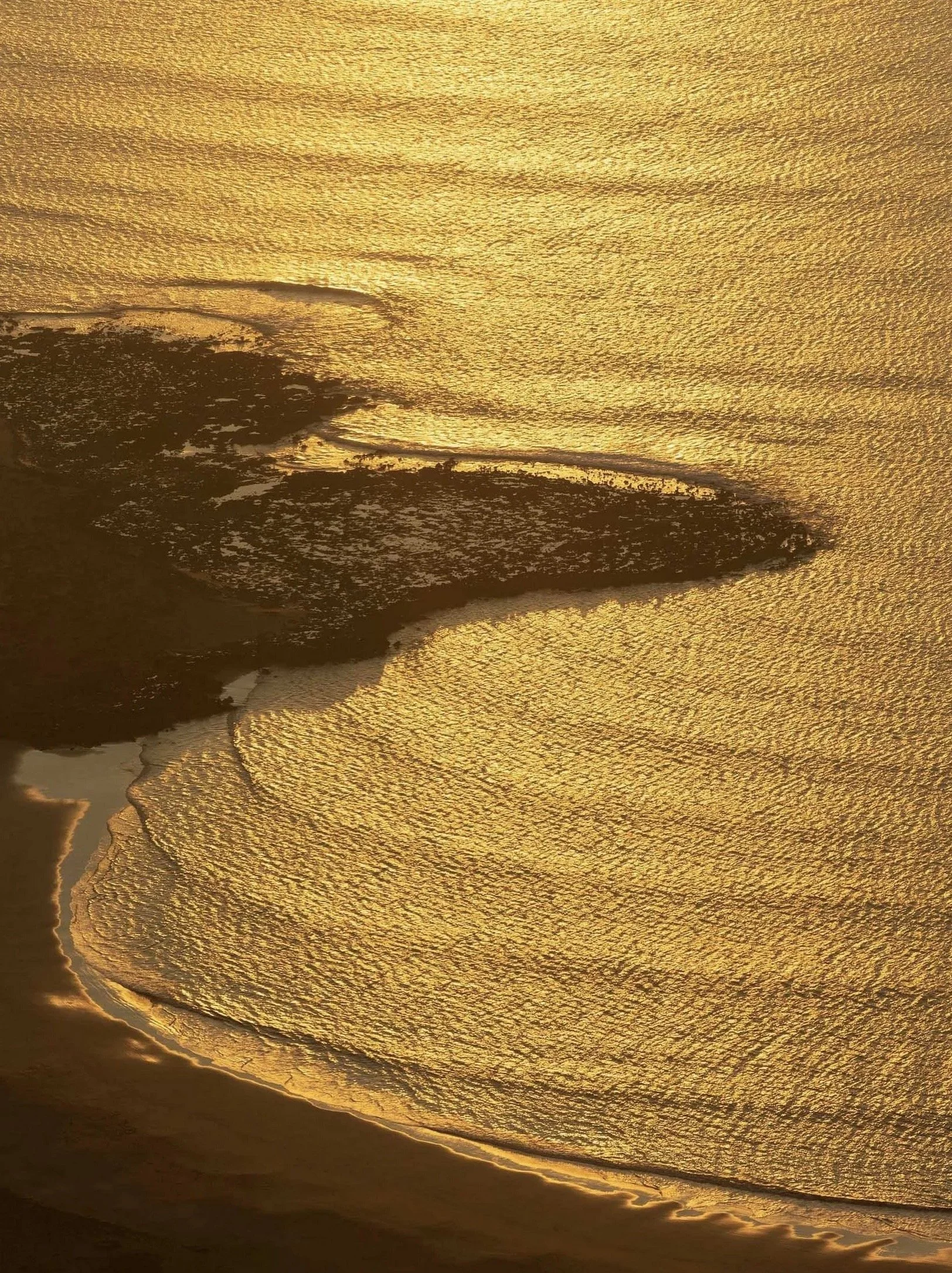 Franz Galo Expo 021.jpg