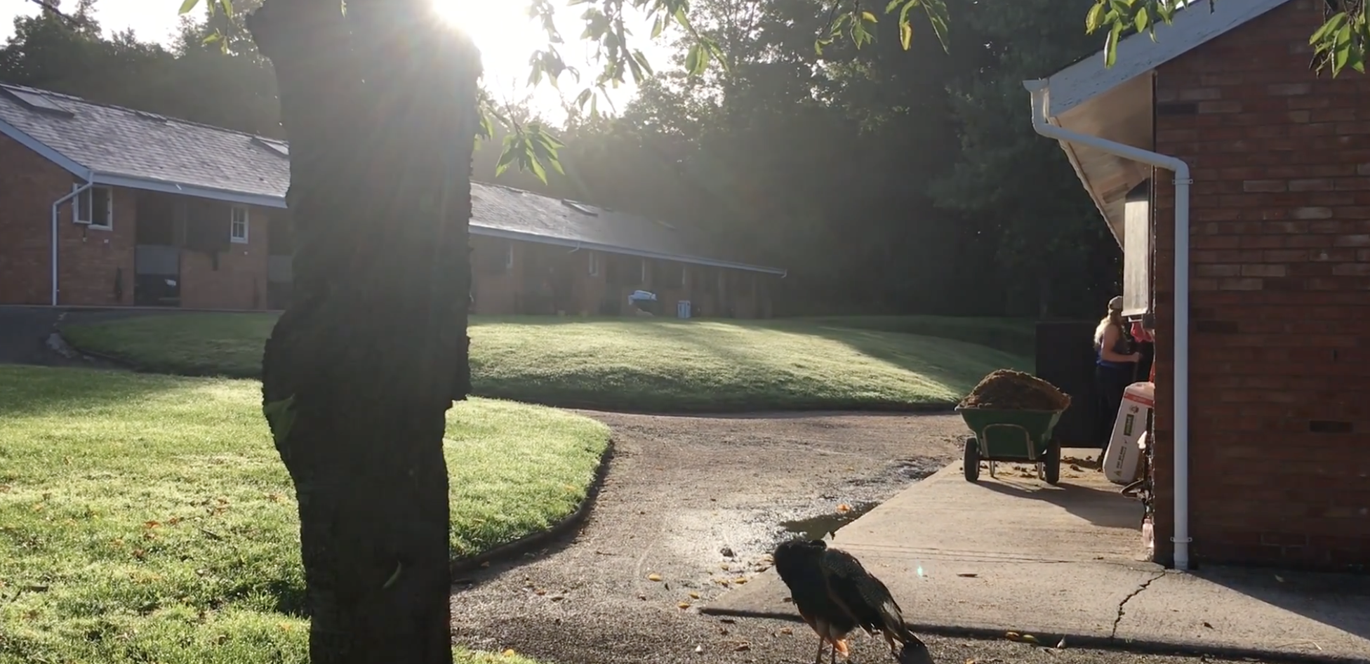 Screenshot 2026-01-30 at 10.39.59.png