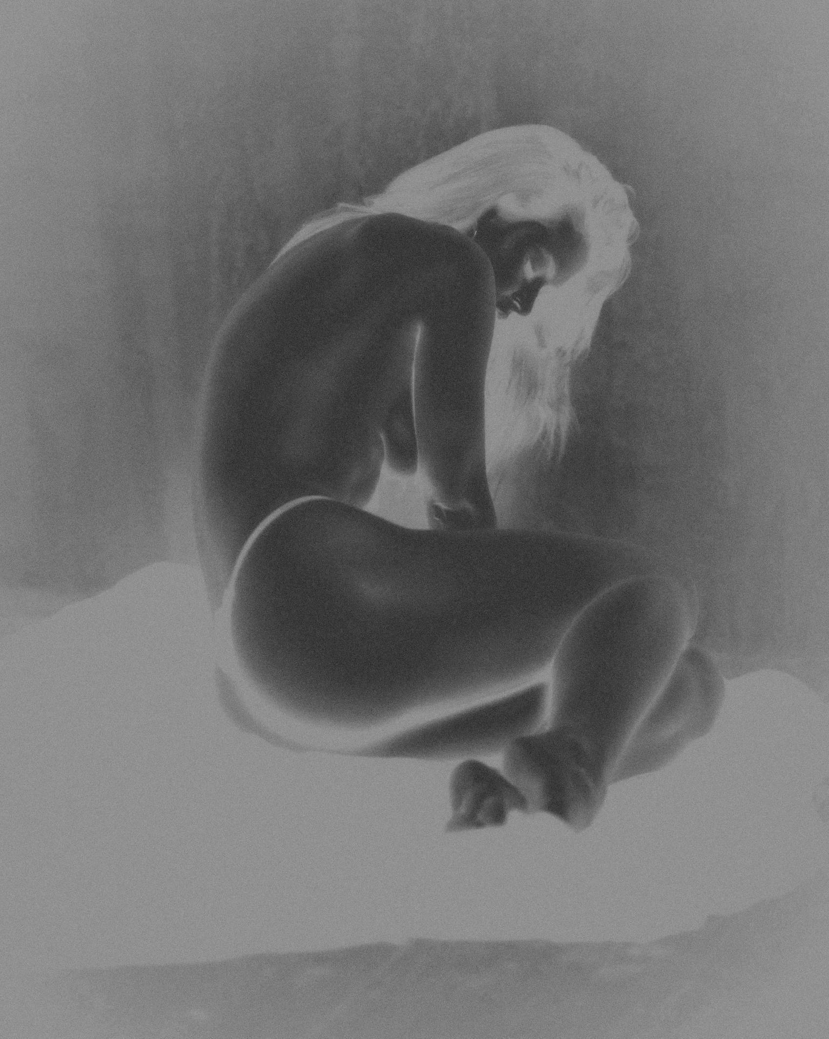 CAPTURES 01119.jpg
