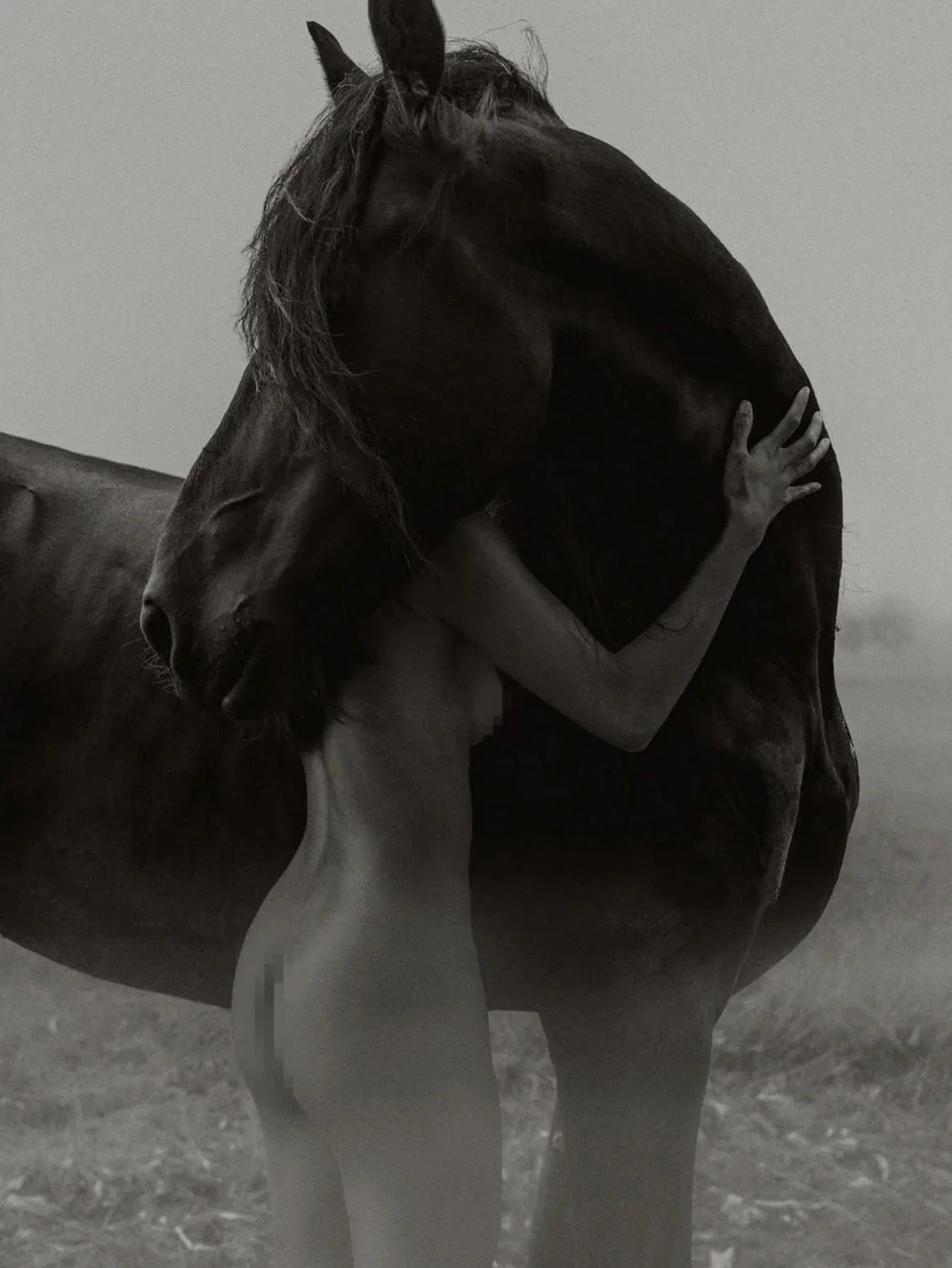 Horse 077.jpg