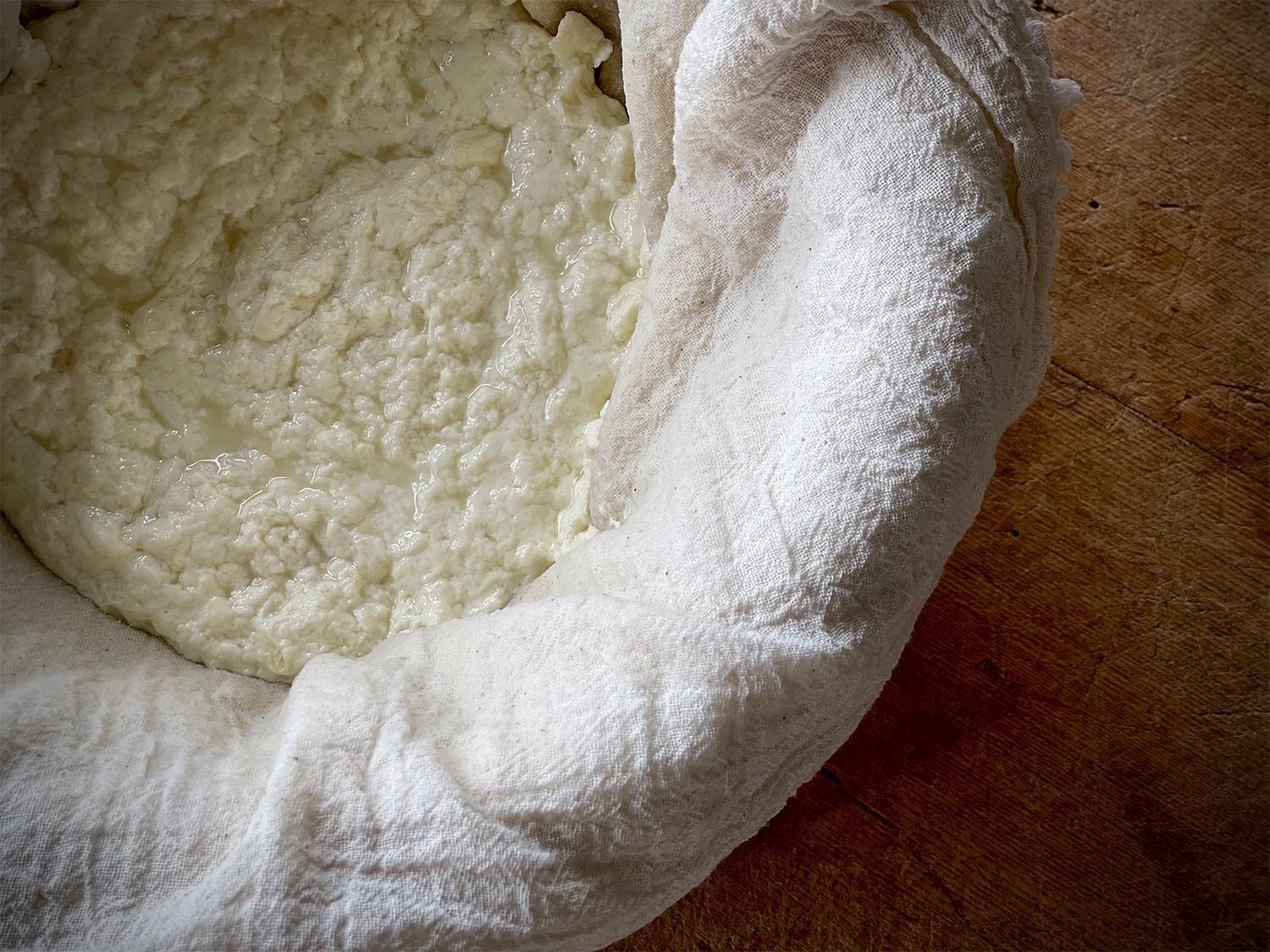 ricotta-recipe_0004_IMG_4956.jpg