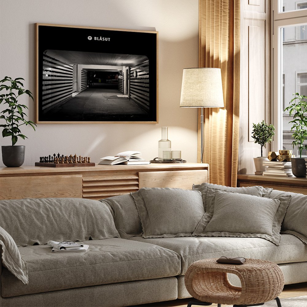Artboard+20BLA%CC%8ASUT+1.jpg