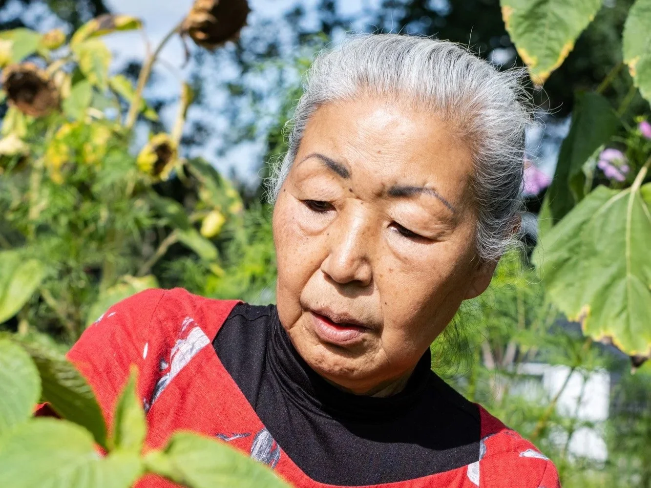 Kims Gespür für Kimchi