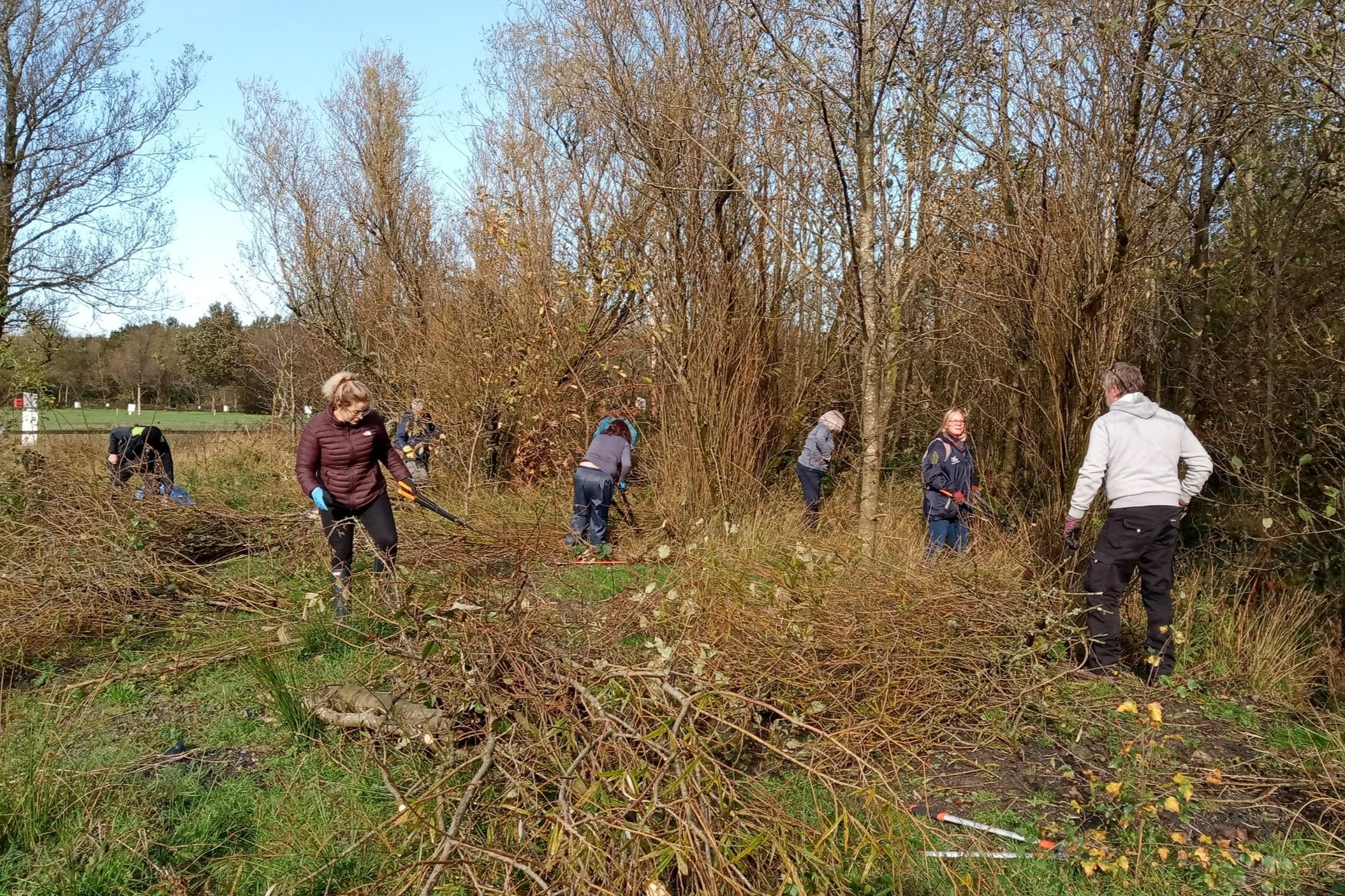 Environmental Volunteer Days