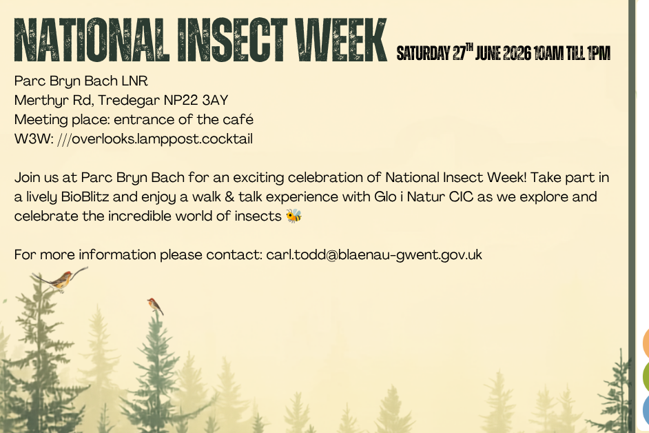 National Insect Week Bioblitz