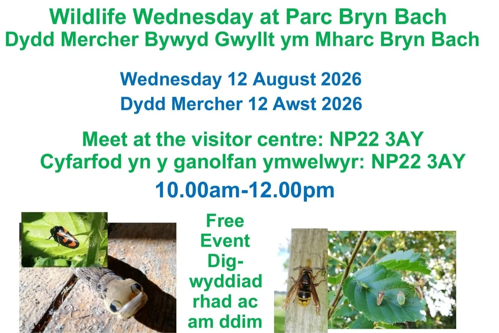 Wildlife Wednesday: Bug Hunt &amp; Crafts