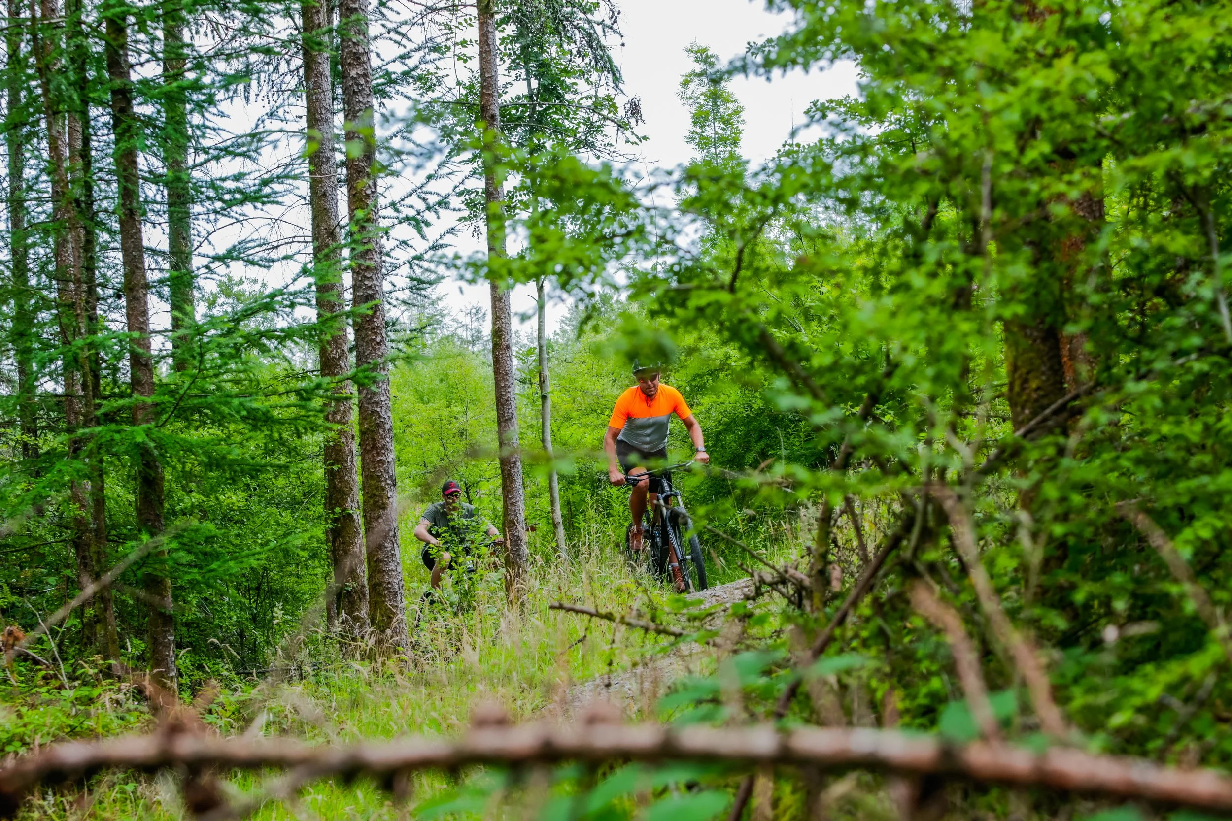 MTB.jpg