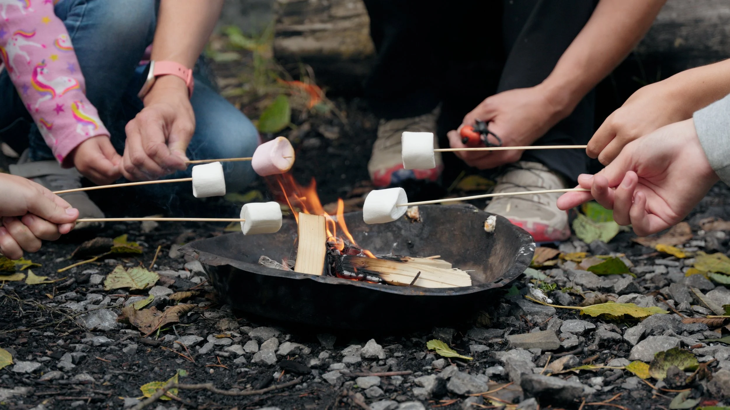 Bushcraft2.jpg