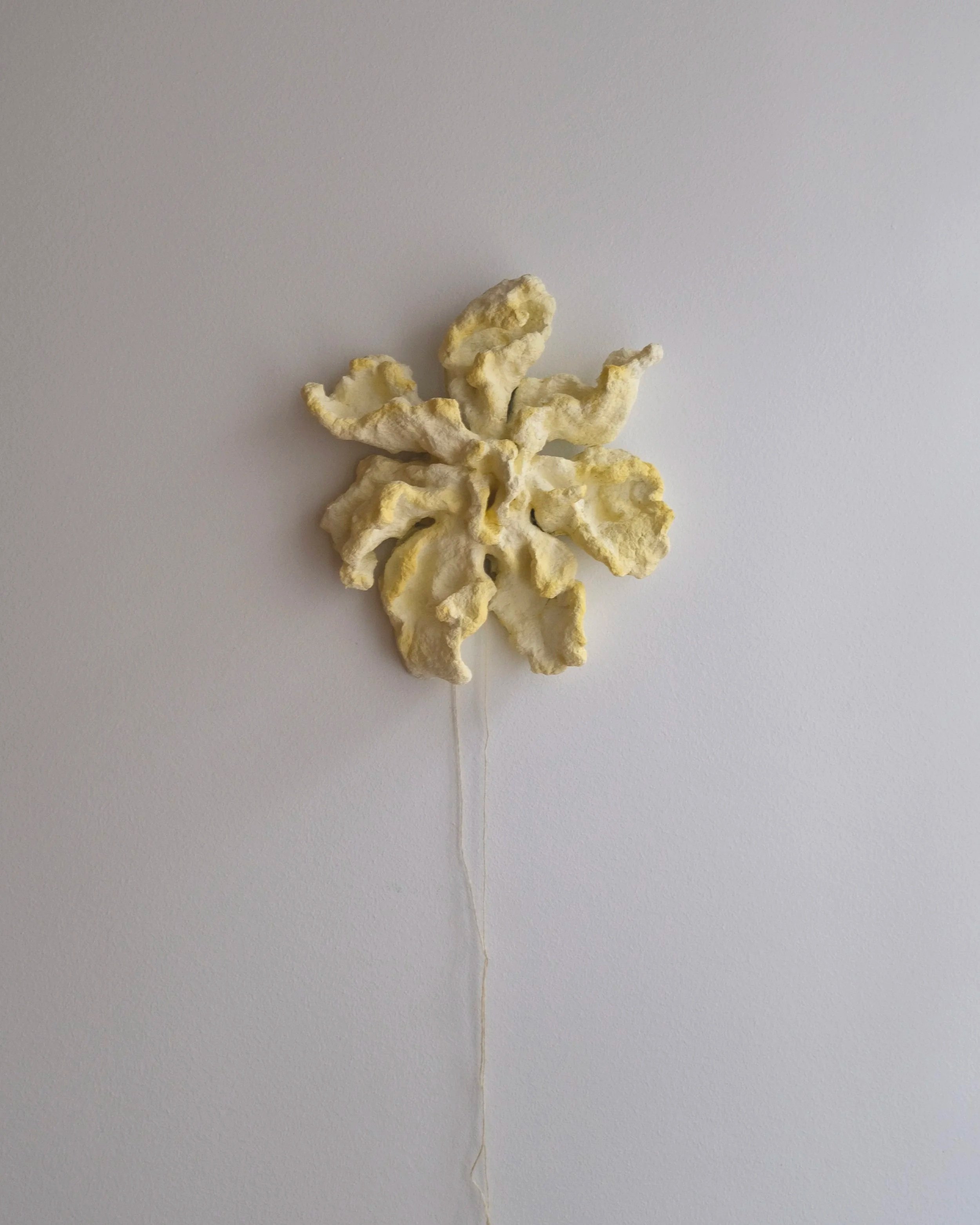 “Inner Grow” (Solgt)