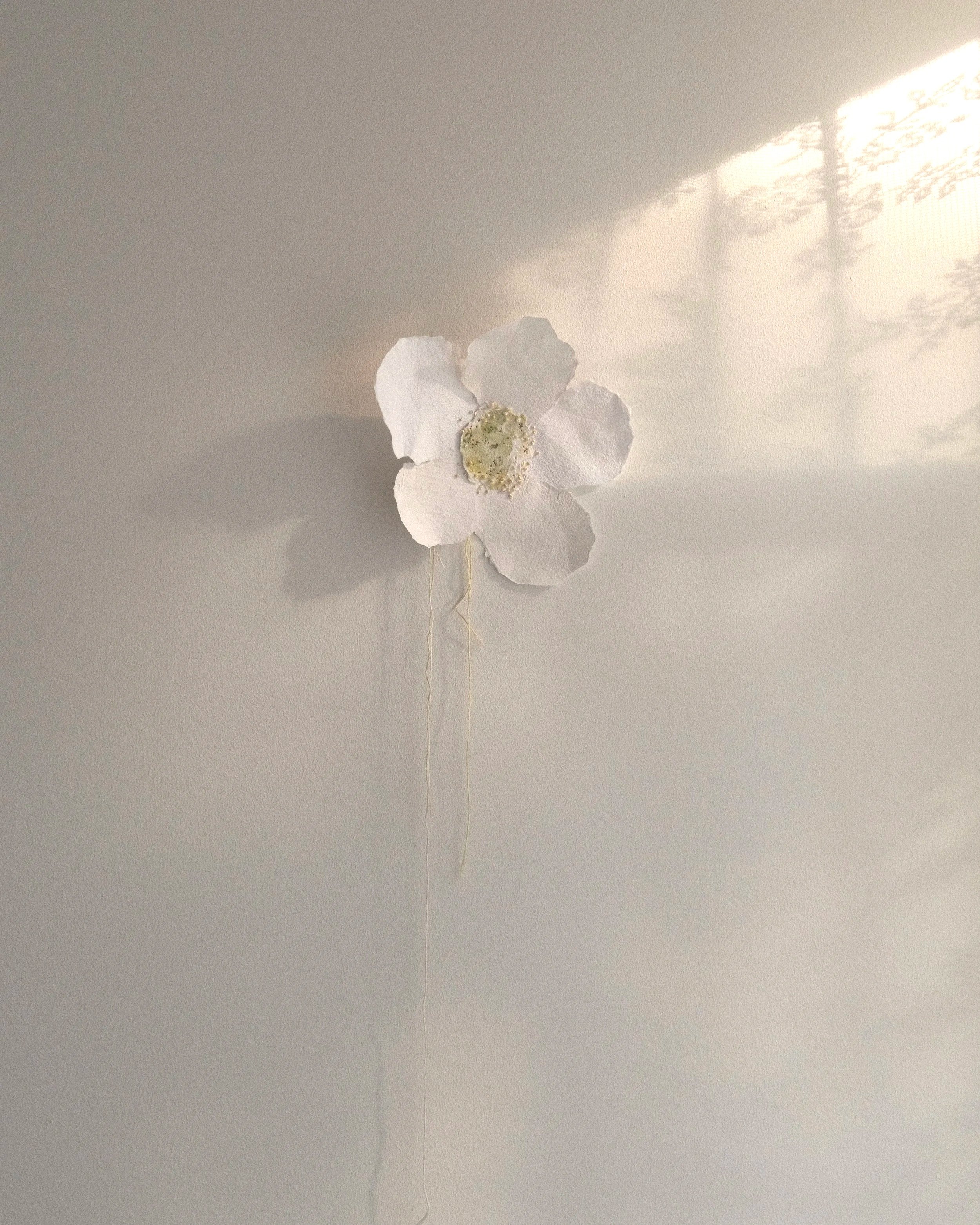 "Anemone" (Solgt)
