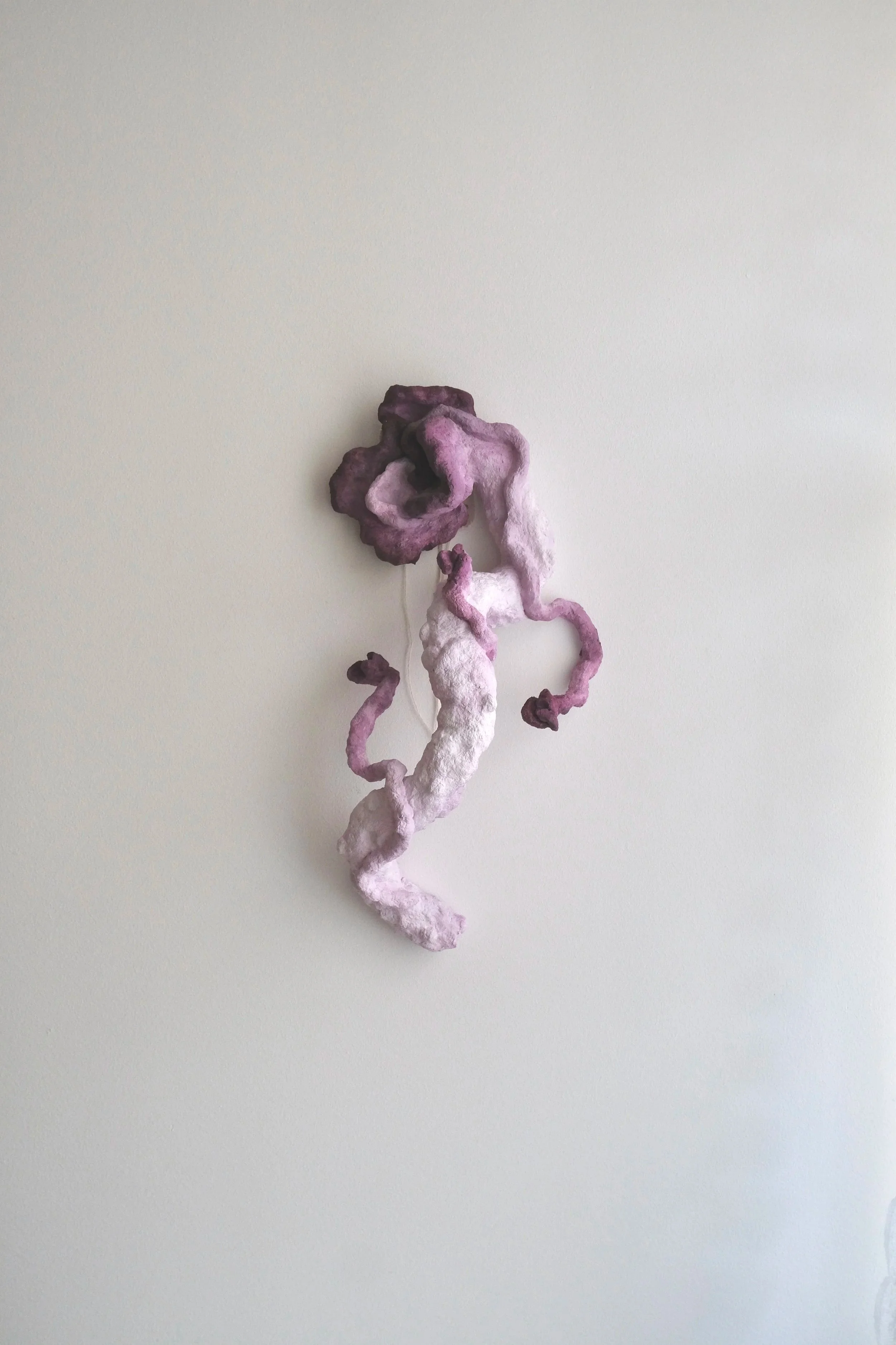 "Curious Feeling Flower"