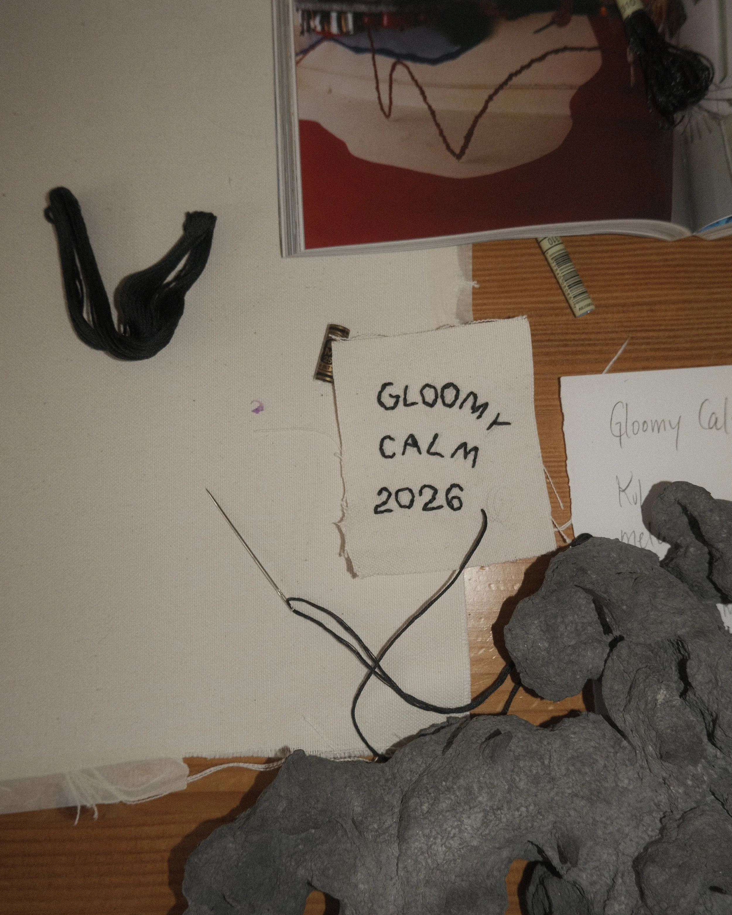 DSCF7595.jpg