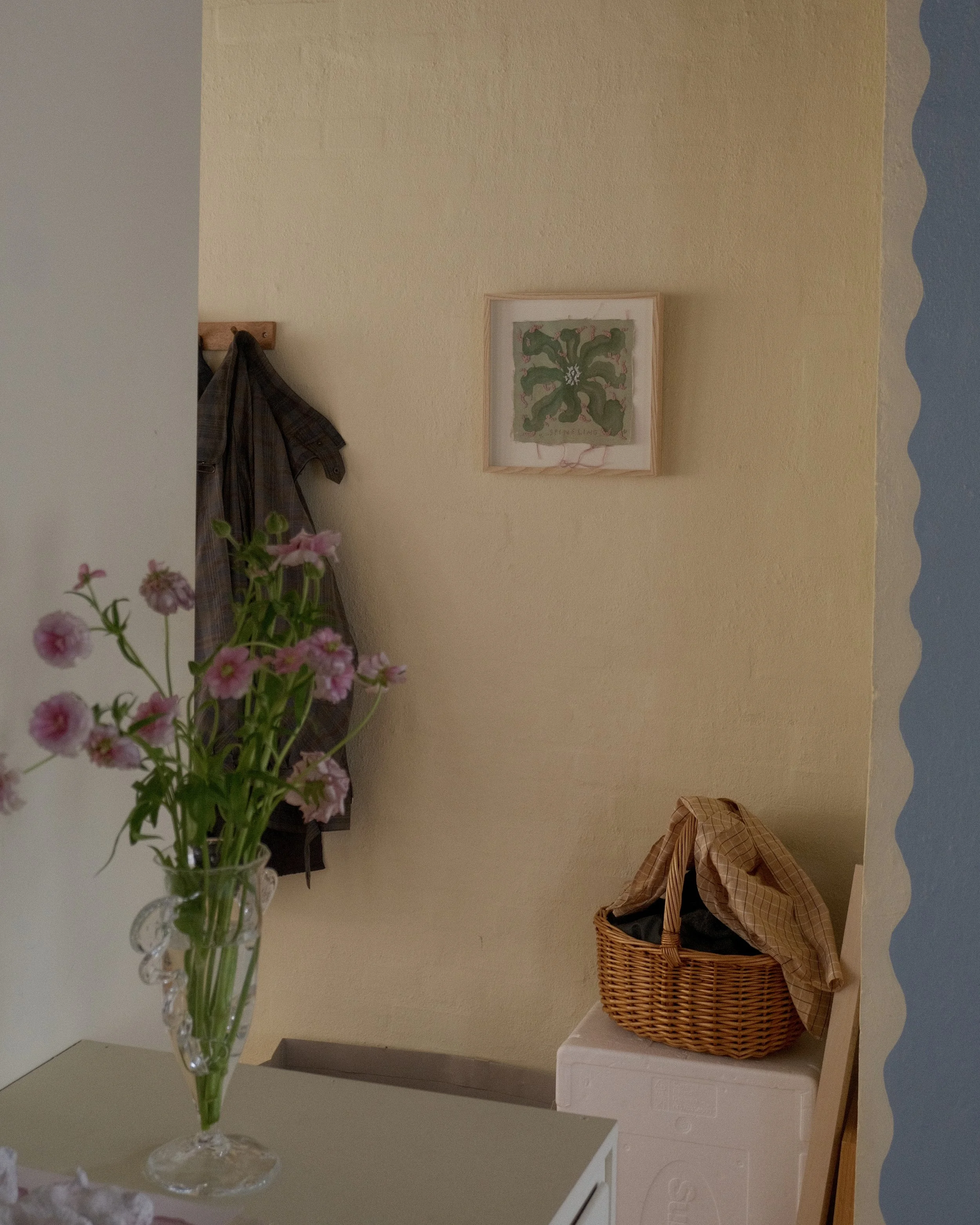 DSCF5404.jpg