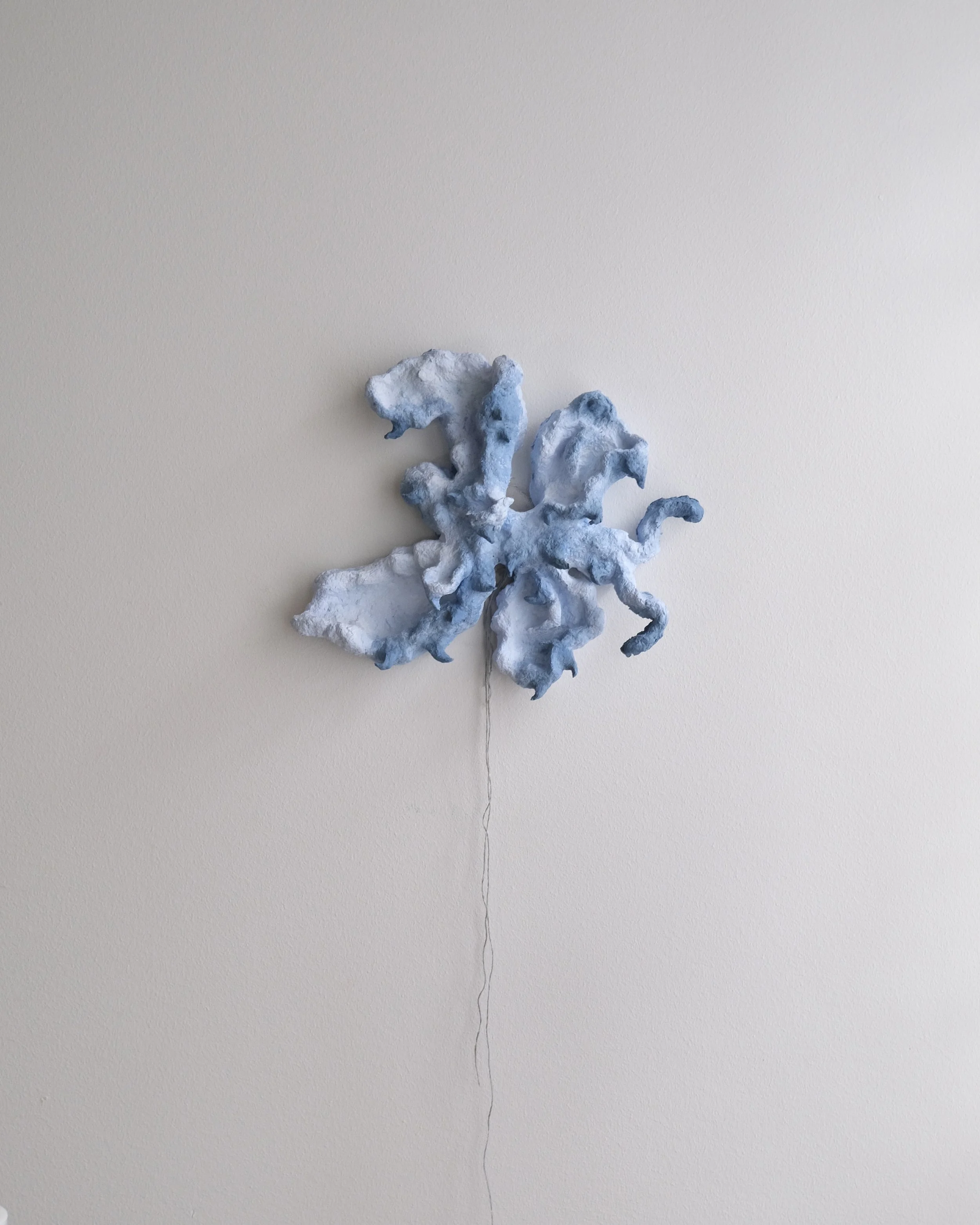 "Clear Spiney Butterfly"  @atelieraparte  
til udstilling