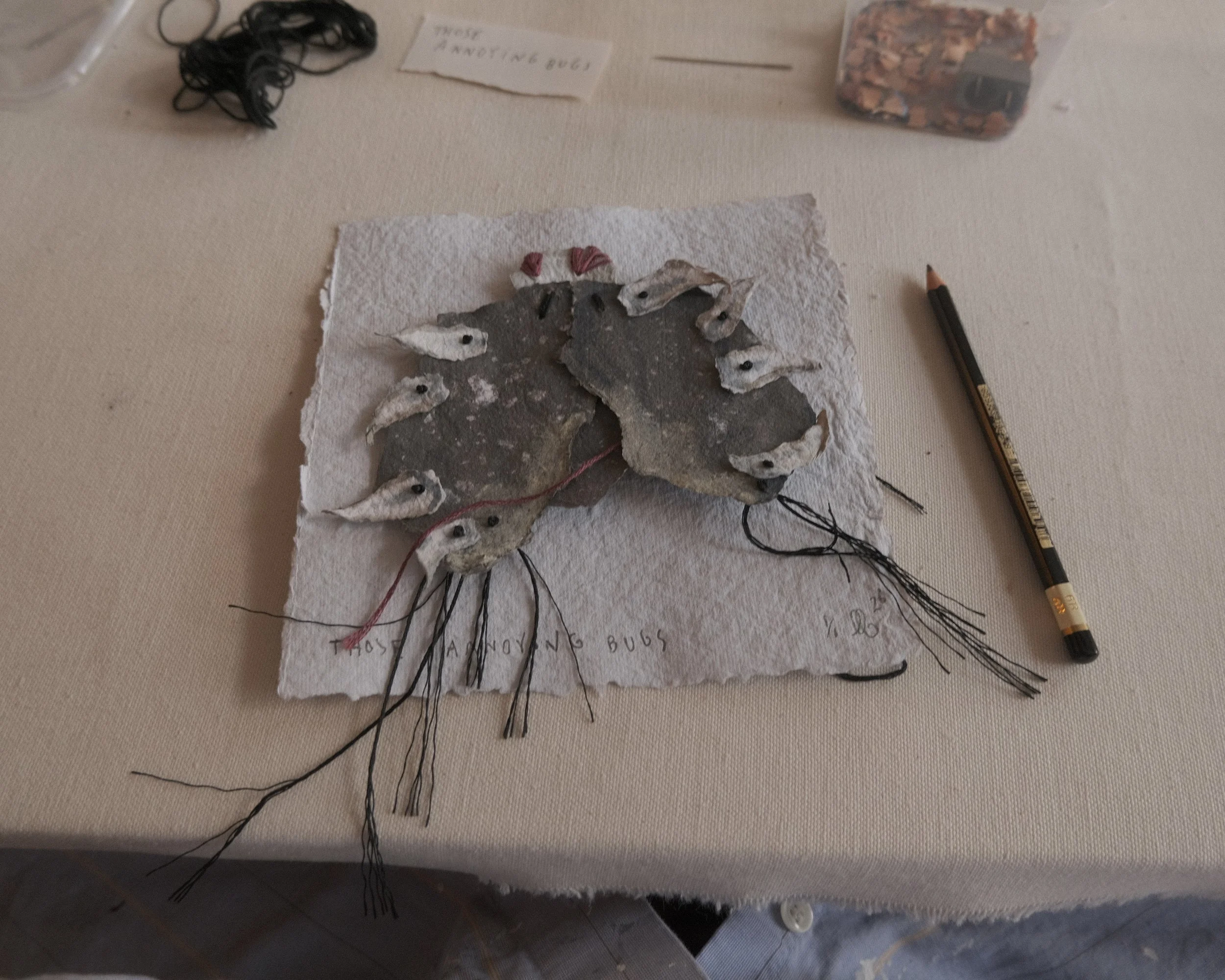 DSCF8905.jpg