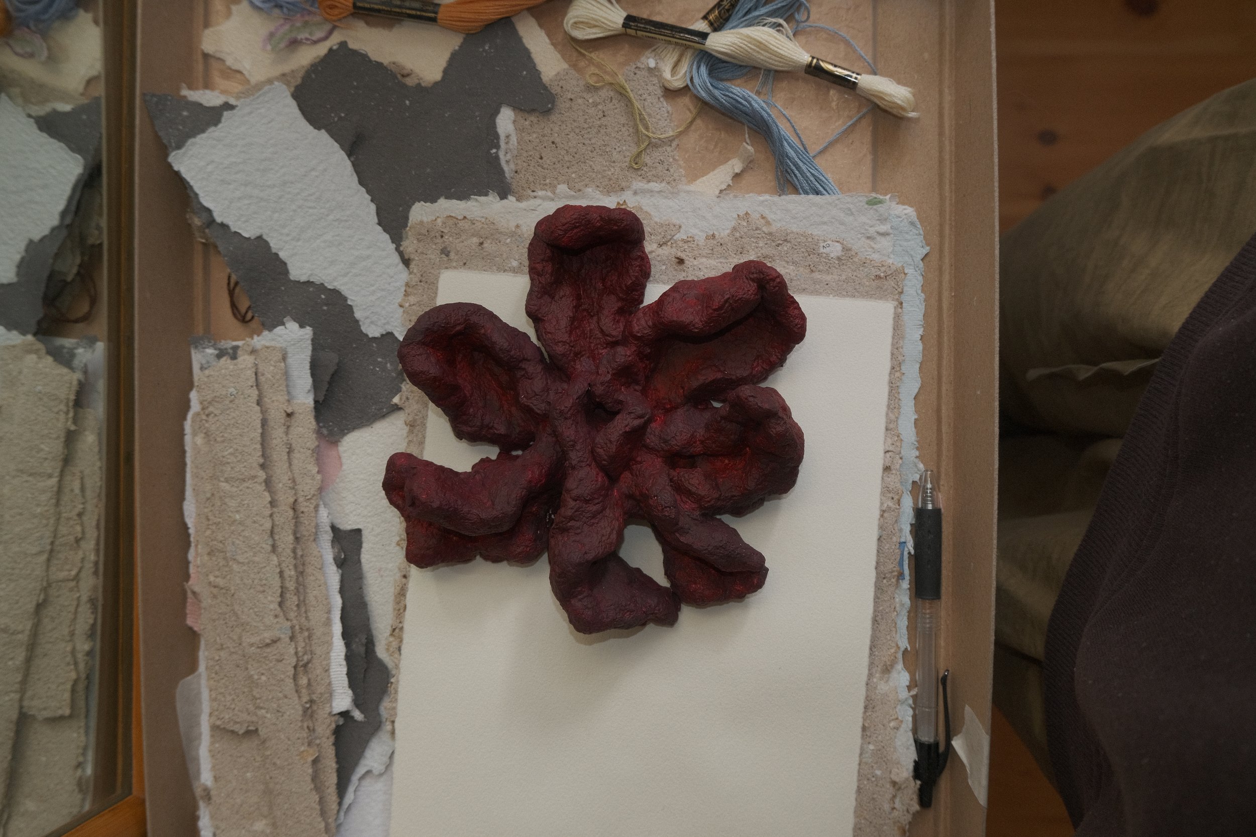 DSCF6681.JPG