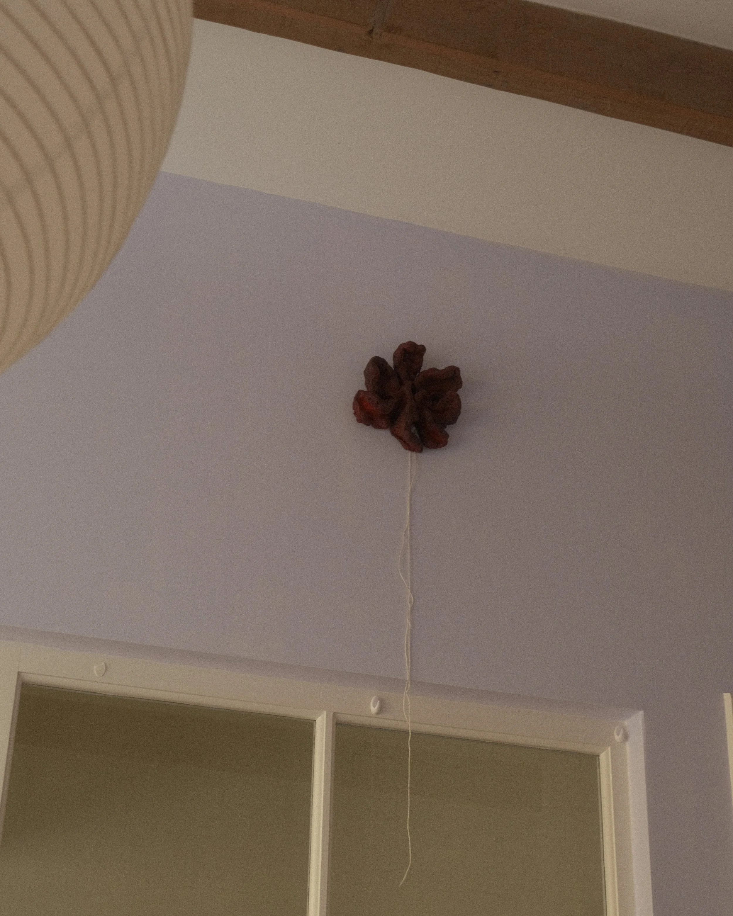 DSCF6736.jpg
