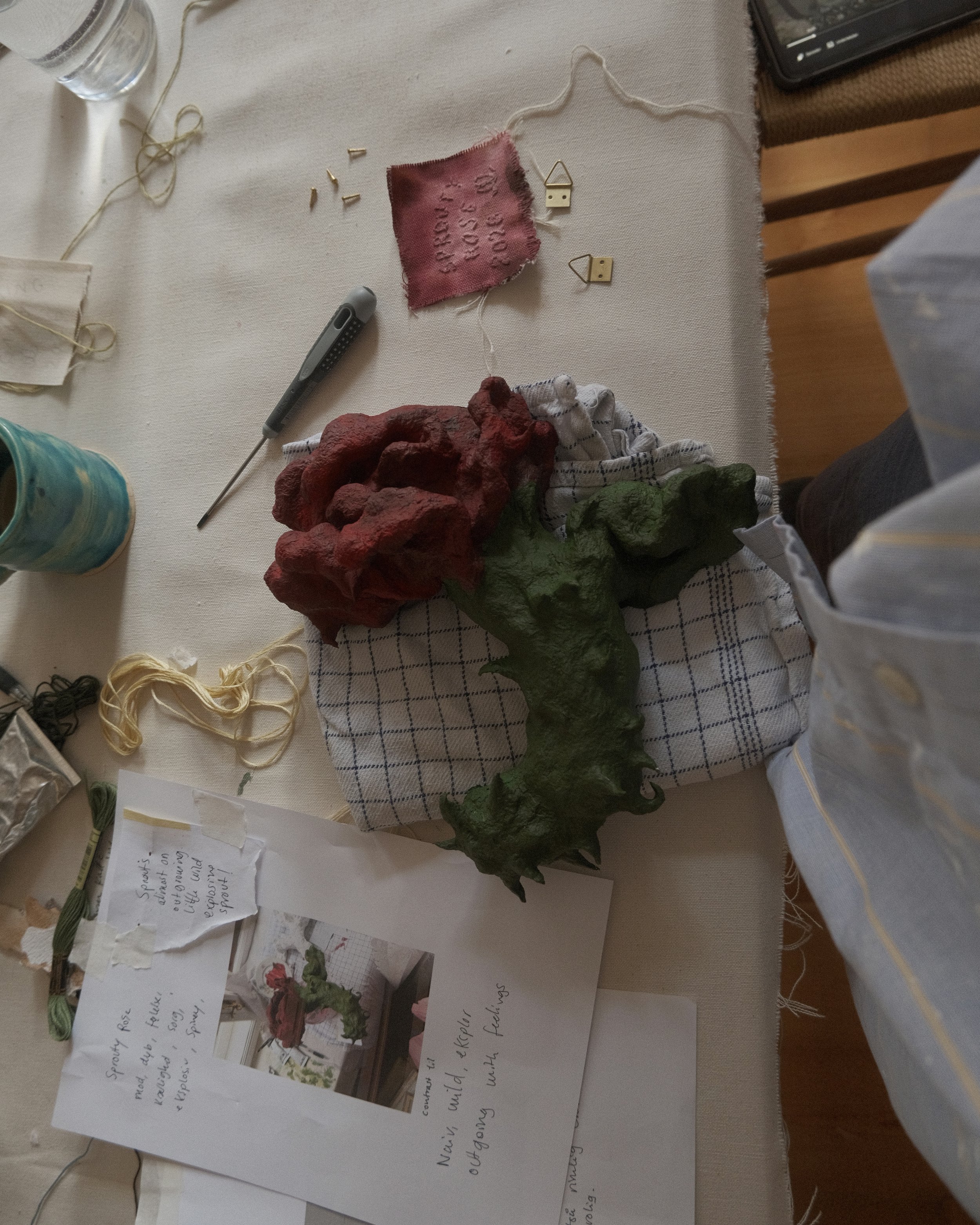 DSCF6316.jpg