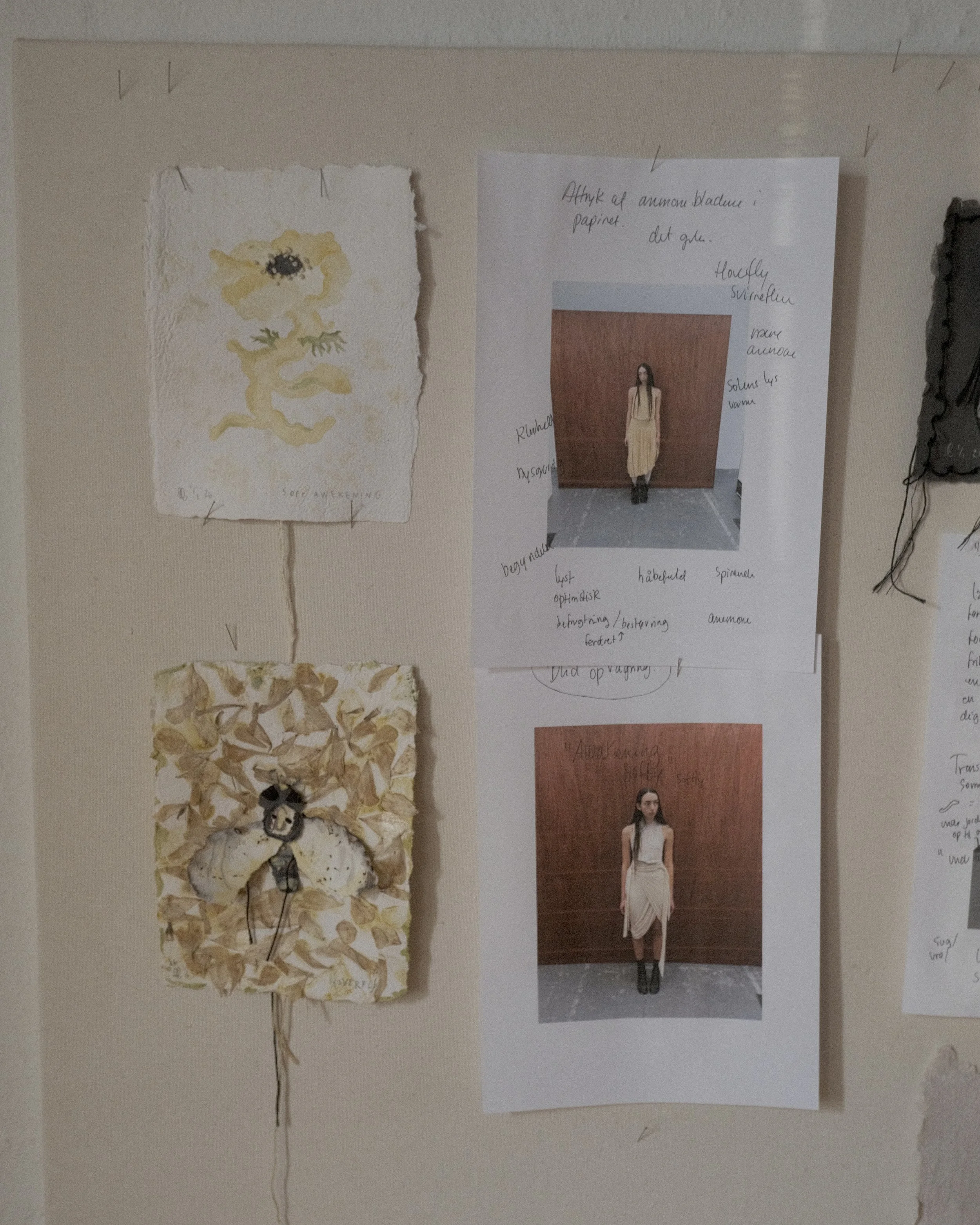 "soft Awakening" / "Hoverfly"