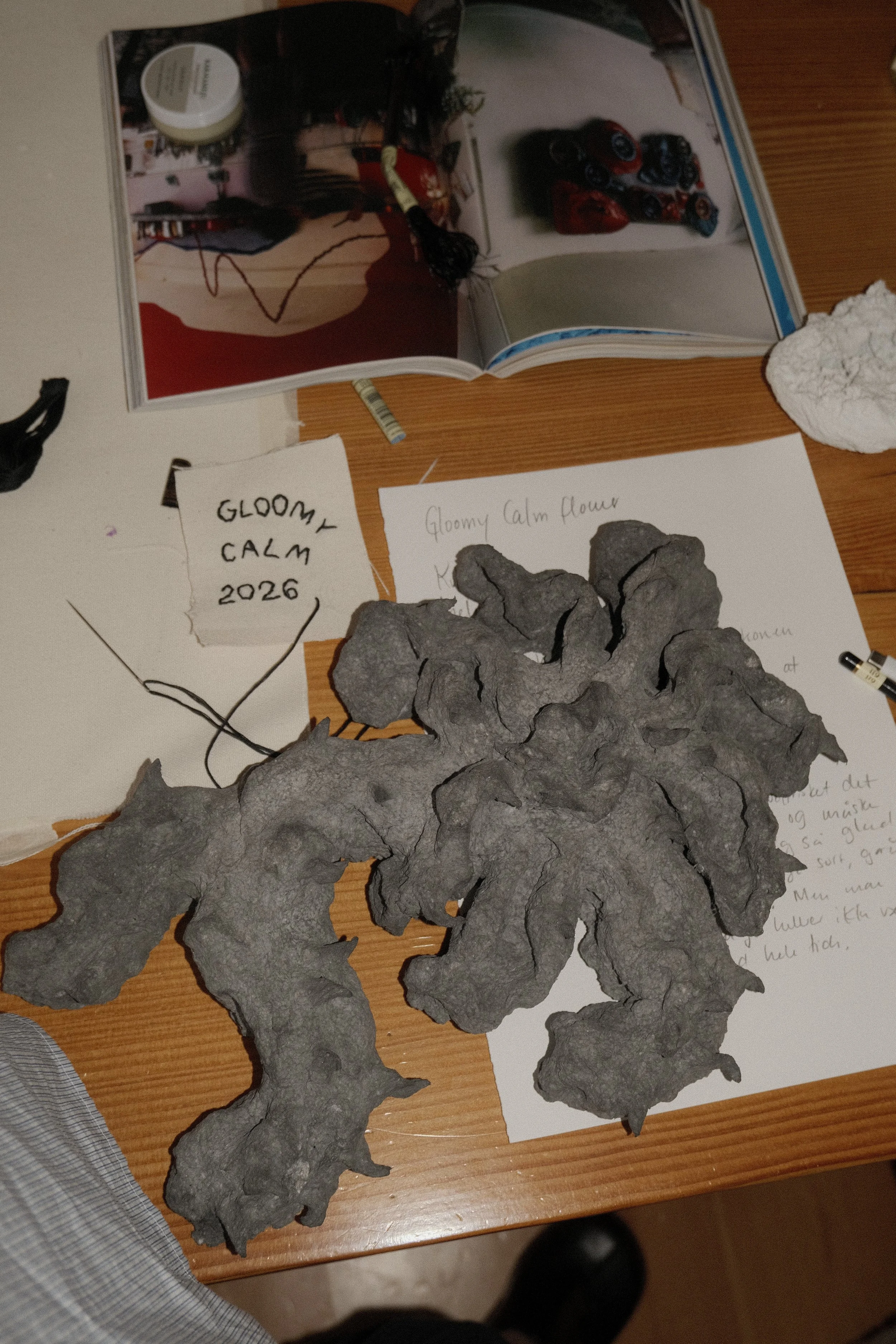 DSCF7590.jpg