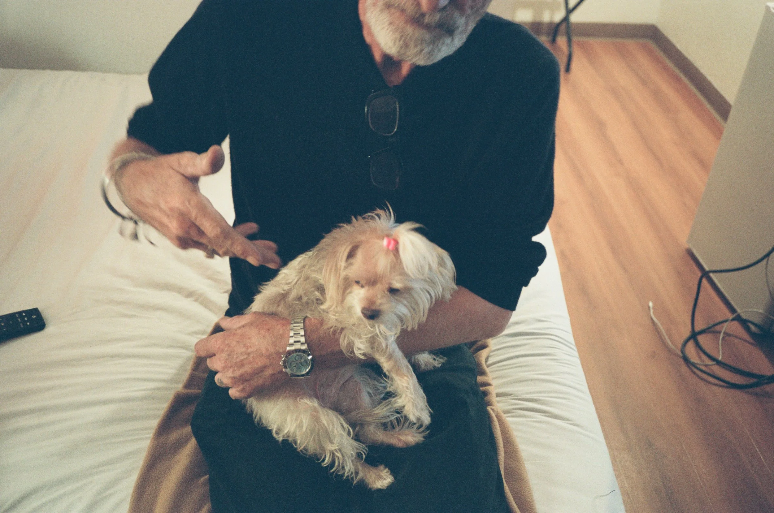 Office Magazine, The Great Gig In The Sky