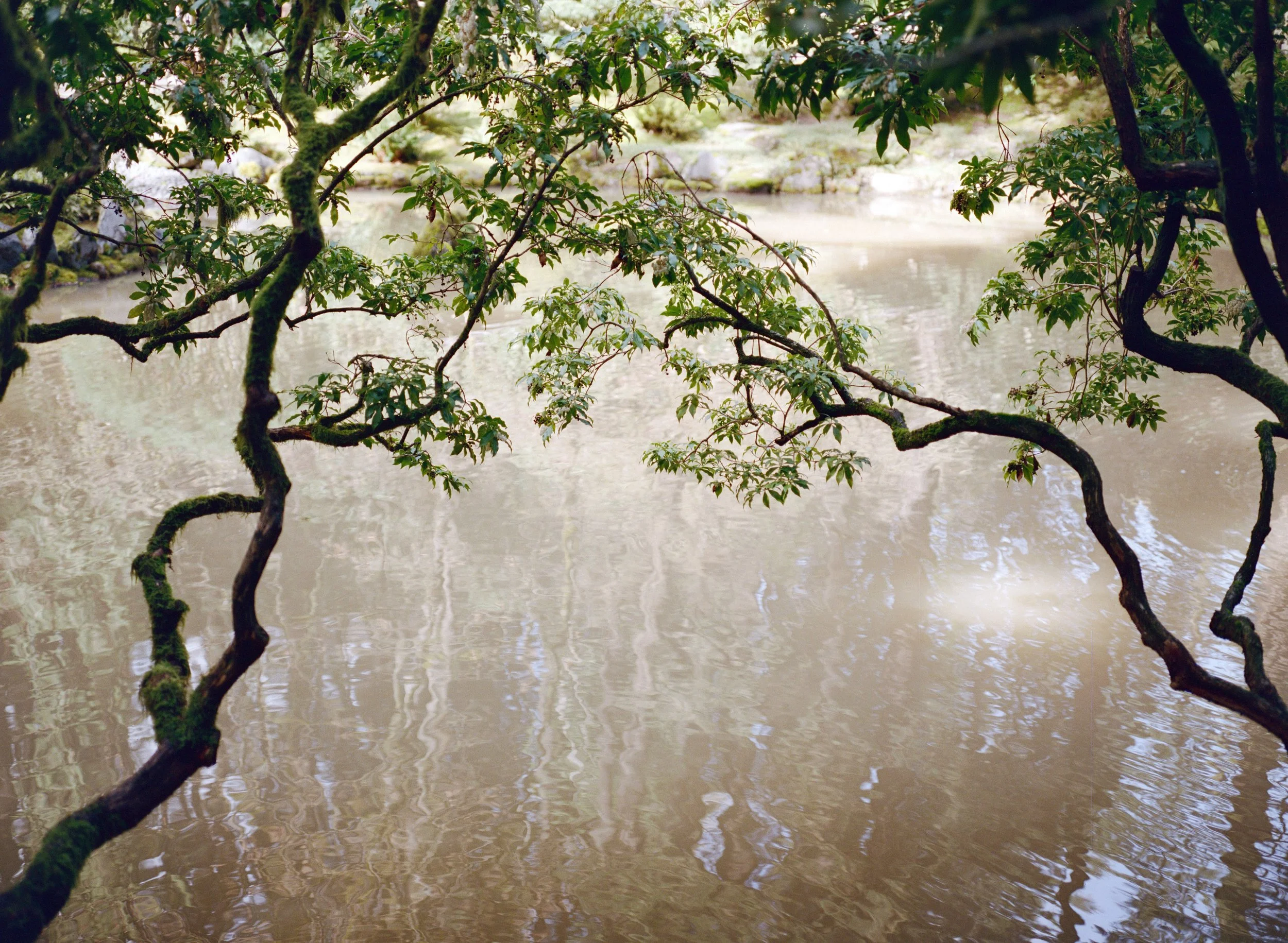 Portland, Oregon - 30 x 22, Price Upon Request