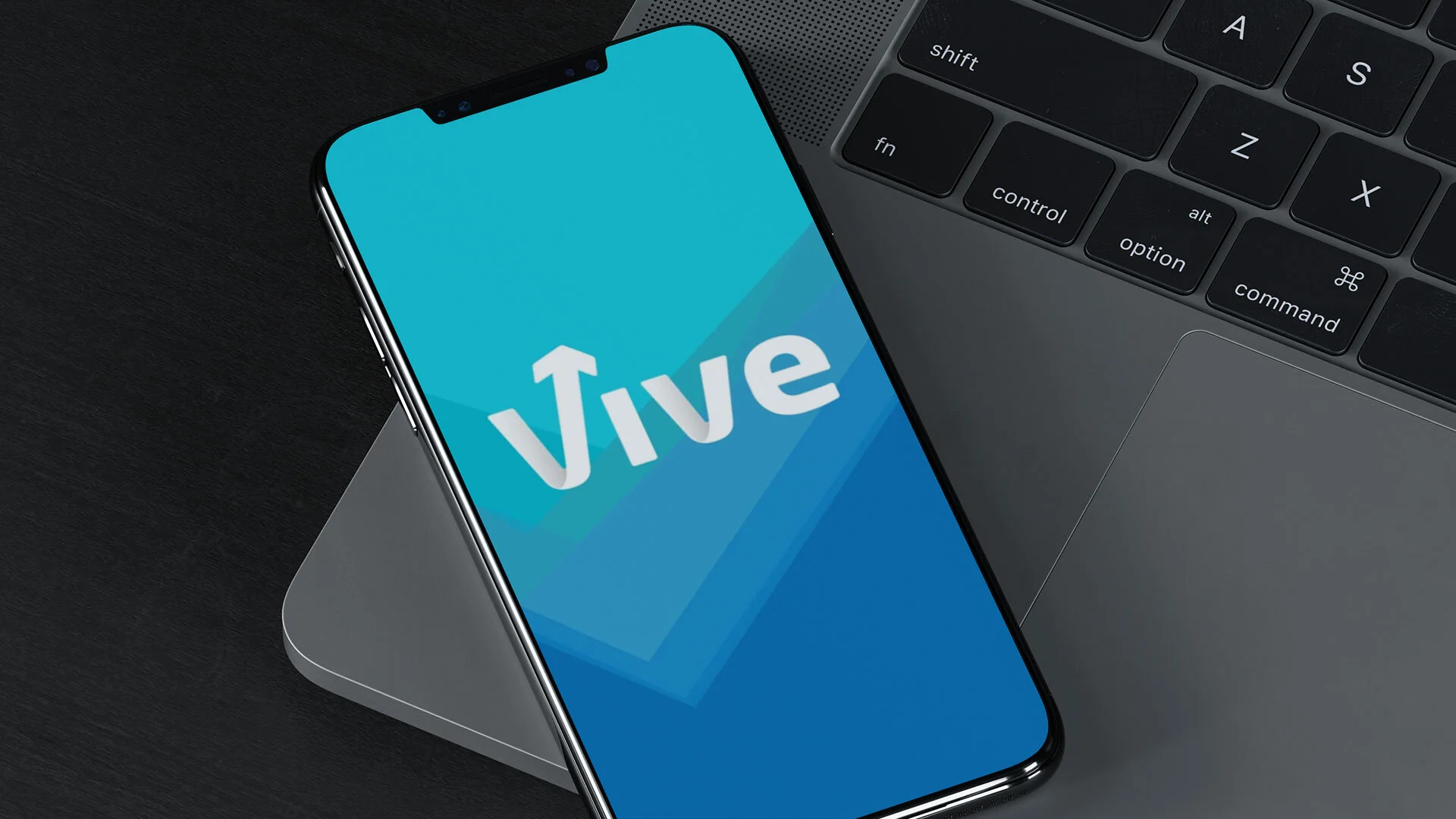 vive_01.jpg