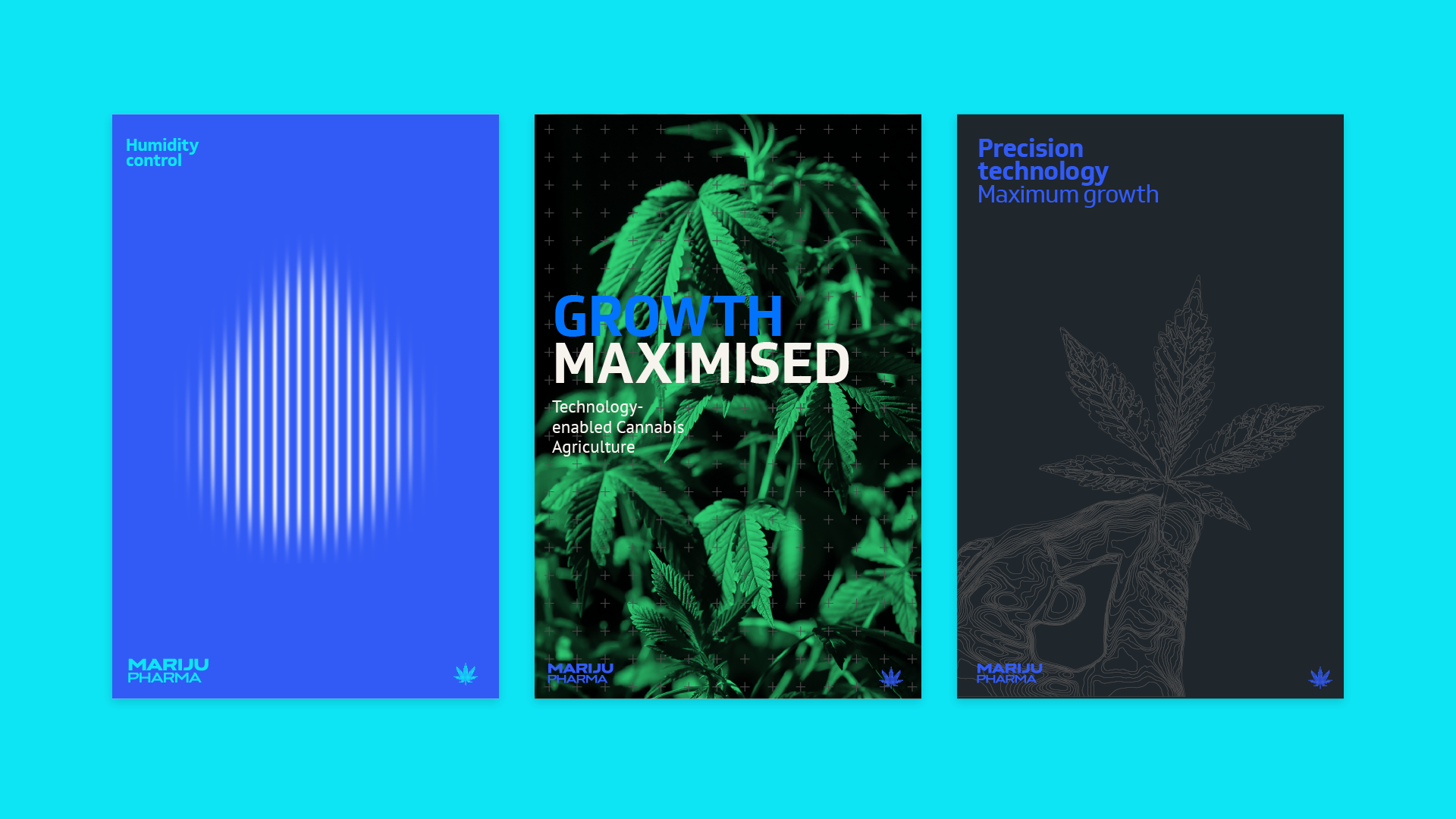 mariju pharma_018.png
