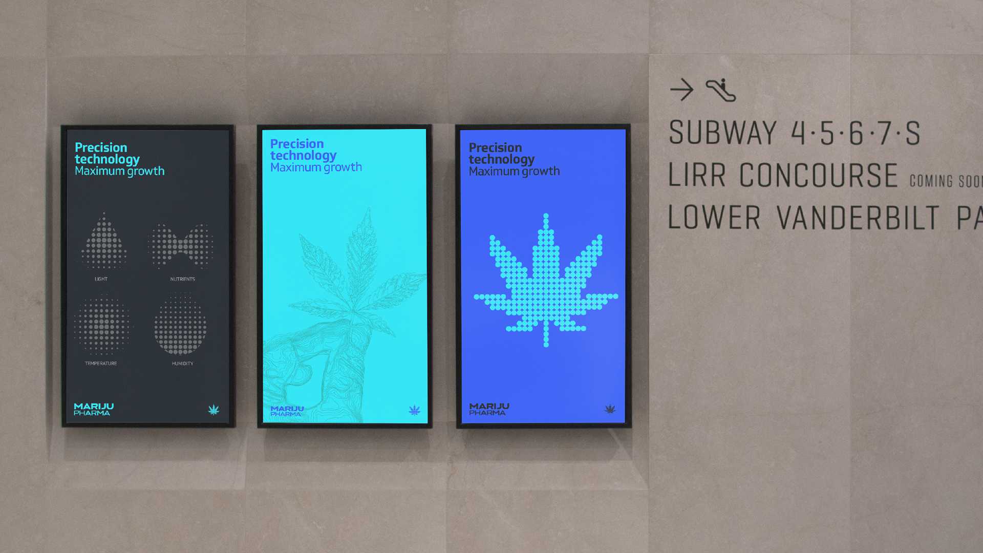 mariju pharma_016.png