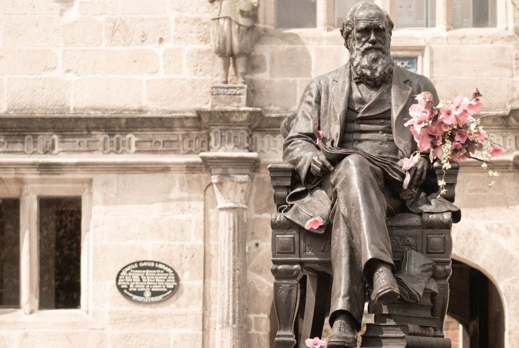 Behind the Scenes Tour of Shrewsbury Library