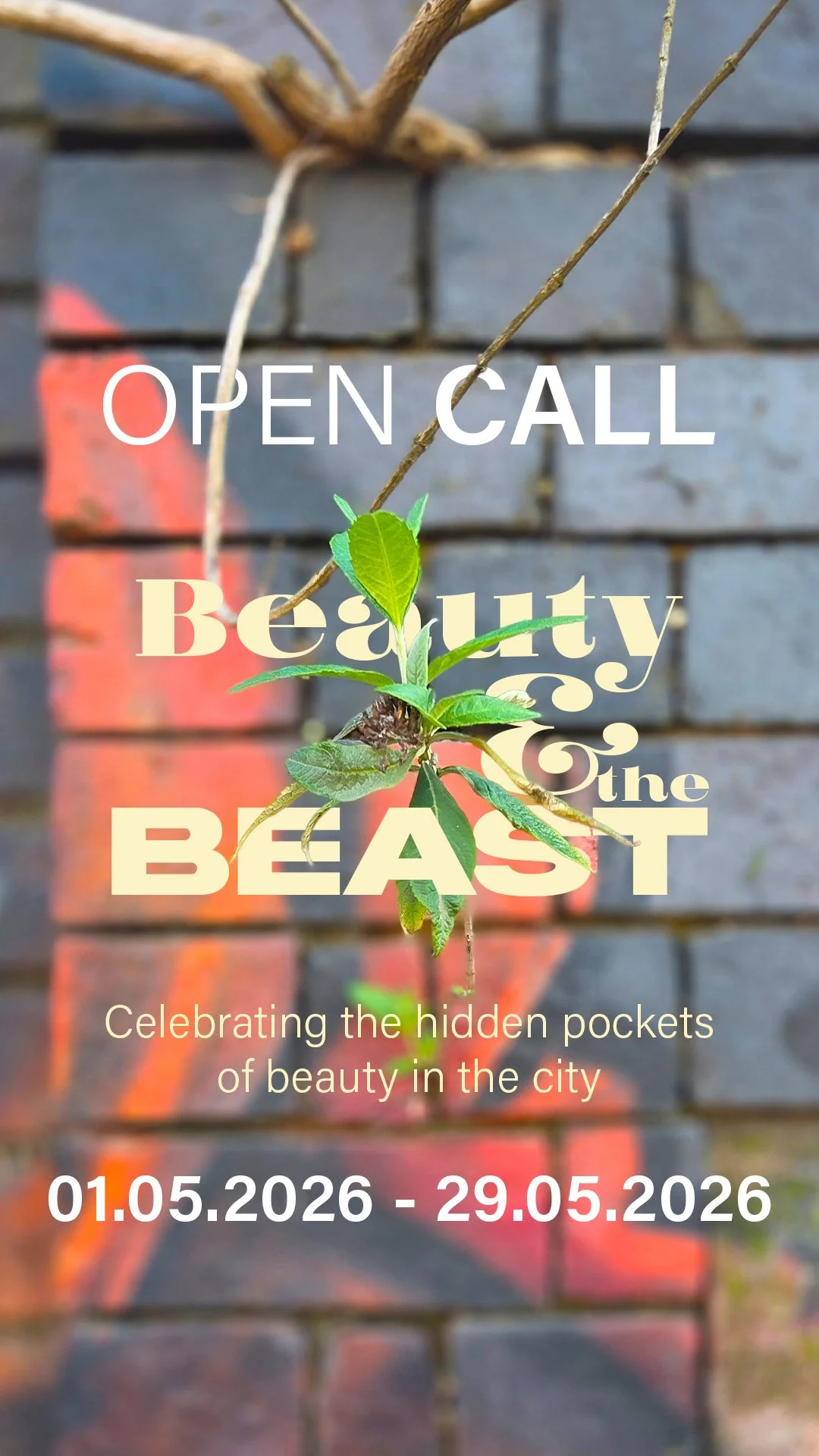 Beauty and the Beast Open Call