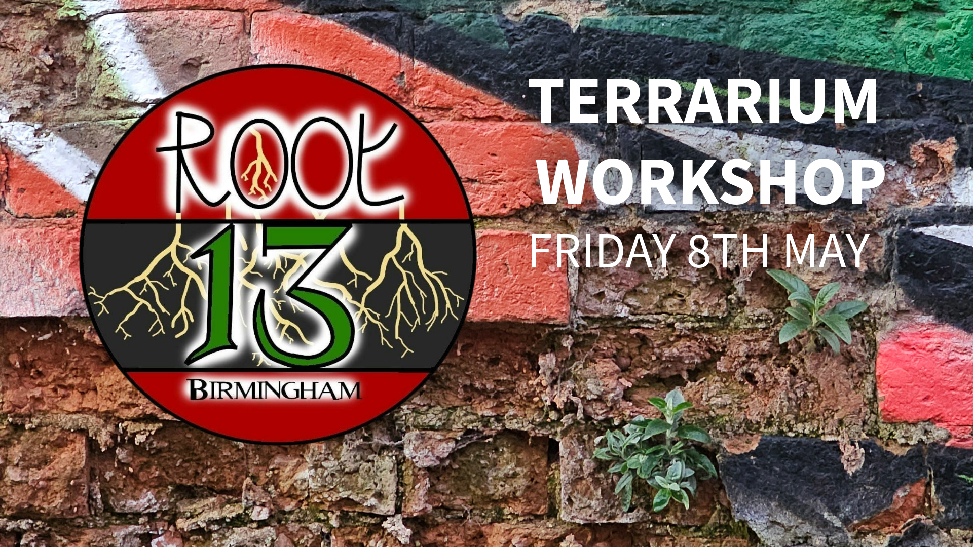 Tropical Terrarium Workshop in Birmingham with Root13