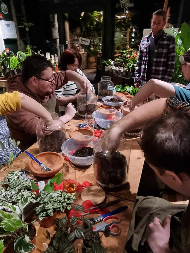 Root 13 terrarium workshop at seventh circle tickets digbeth birmingham.png
