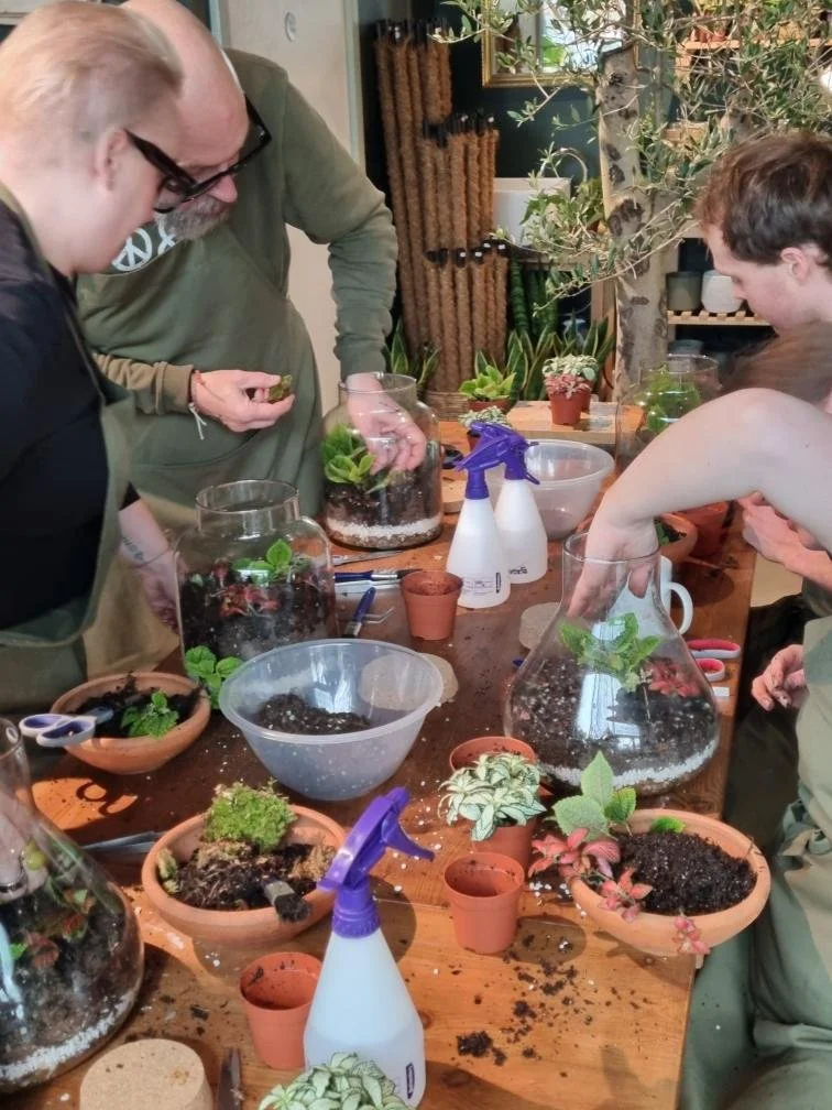 Tropical Terrarium Workshop Birmingham  Seventh Circle x Root13.jpg