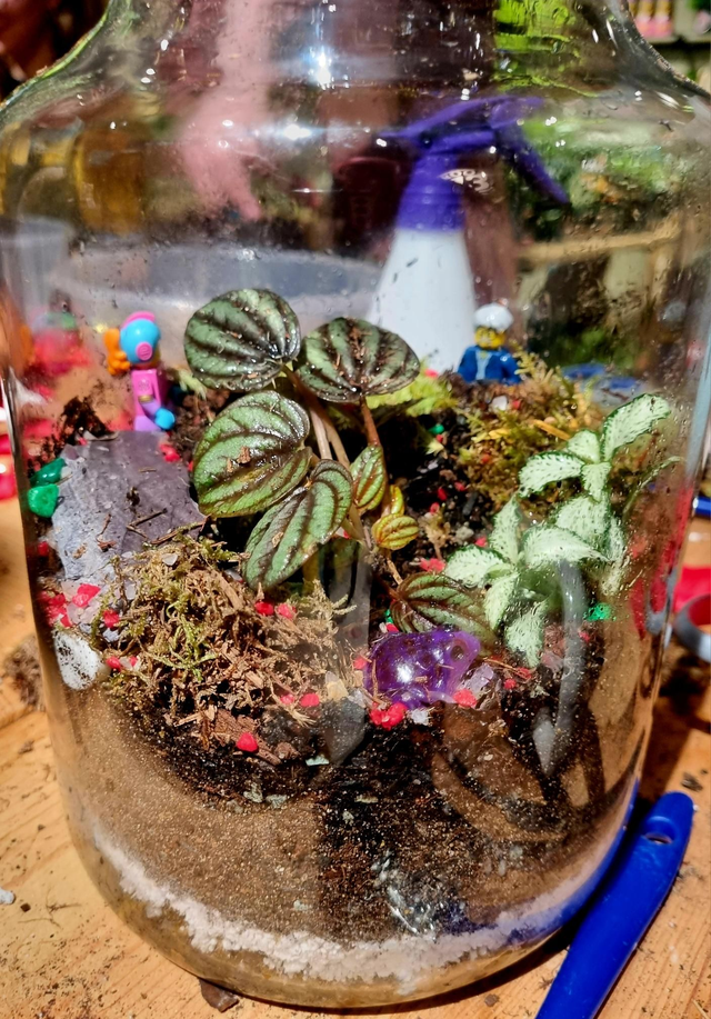 Root 13 terrarium workshop at seventh circle tickets digbeth birmingham 1.png