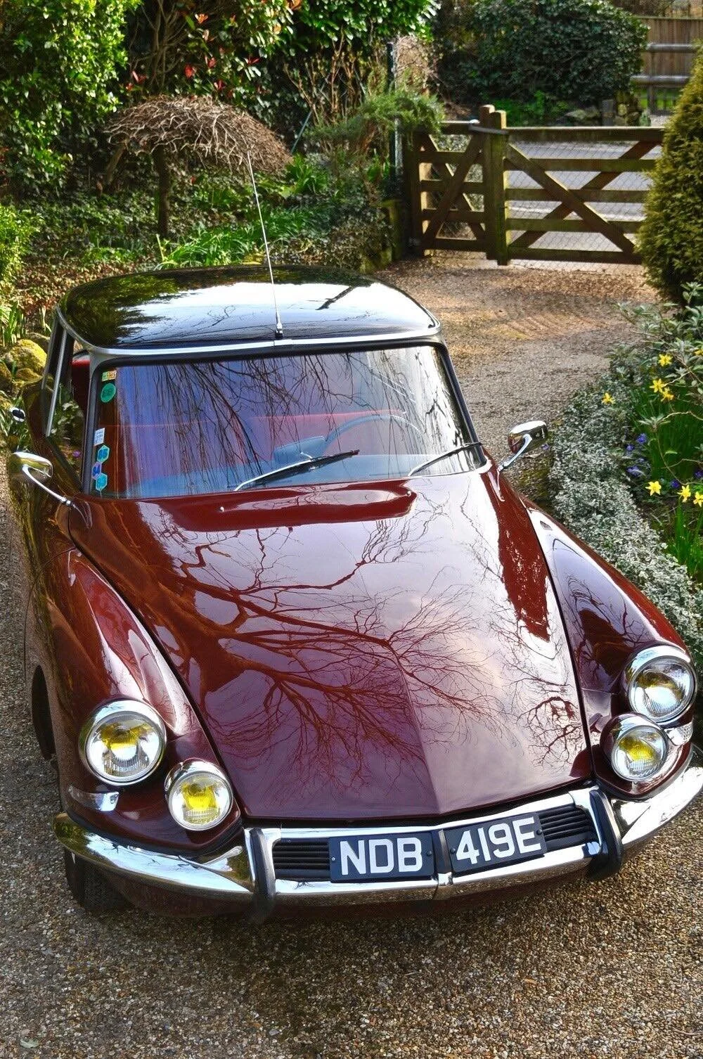 citroen ds oo.jpg