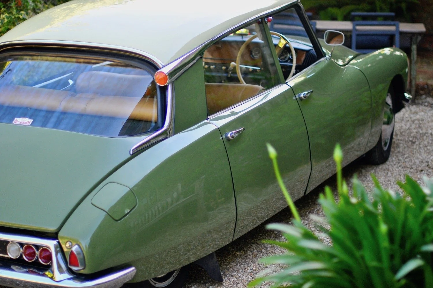 1961 Slough ID 19. Sherwood Green & Daffodil.