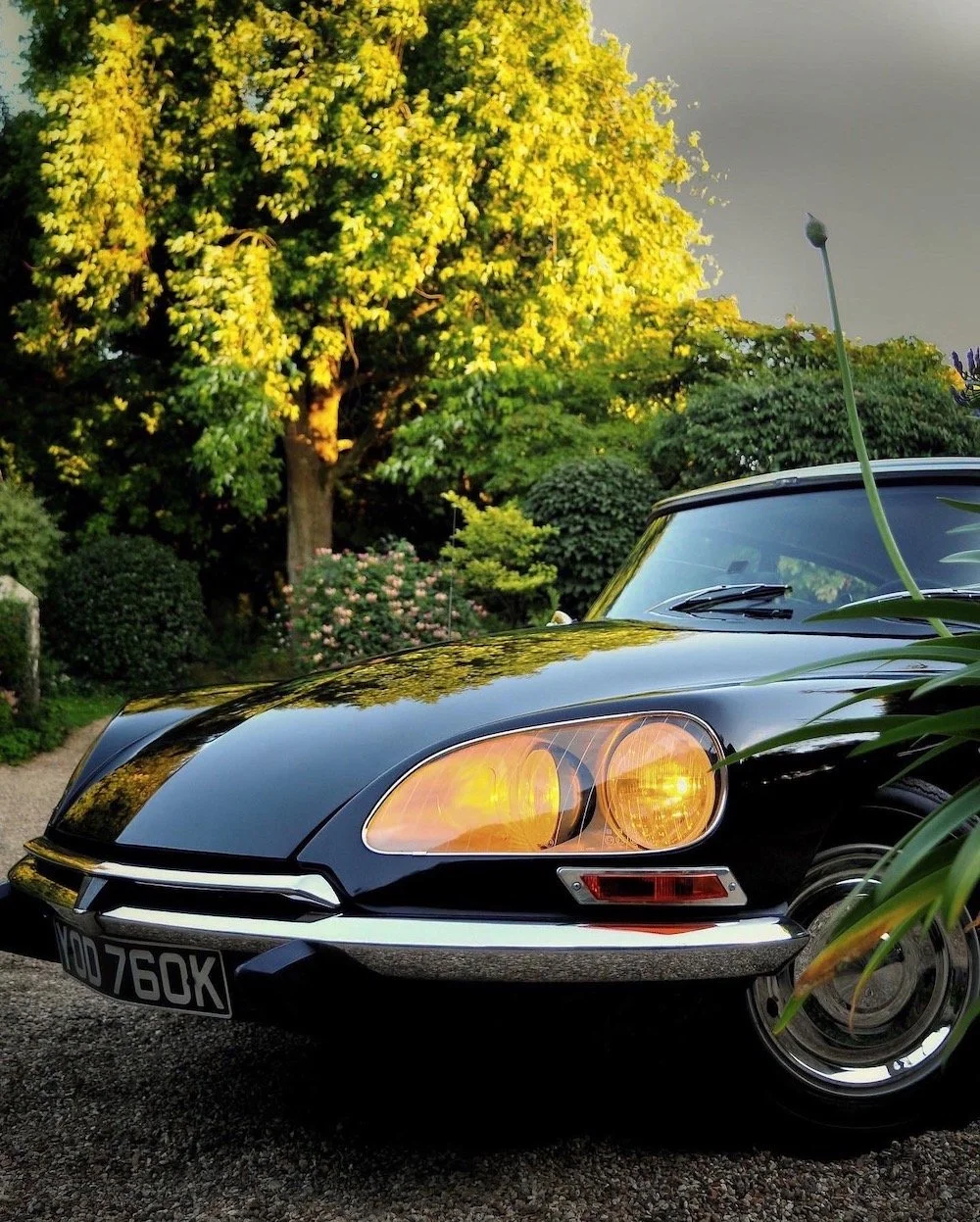 1972 DS 21 Pallas IE BVH. Noir AC 200