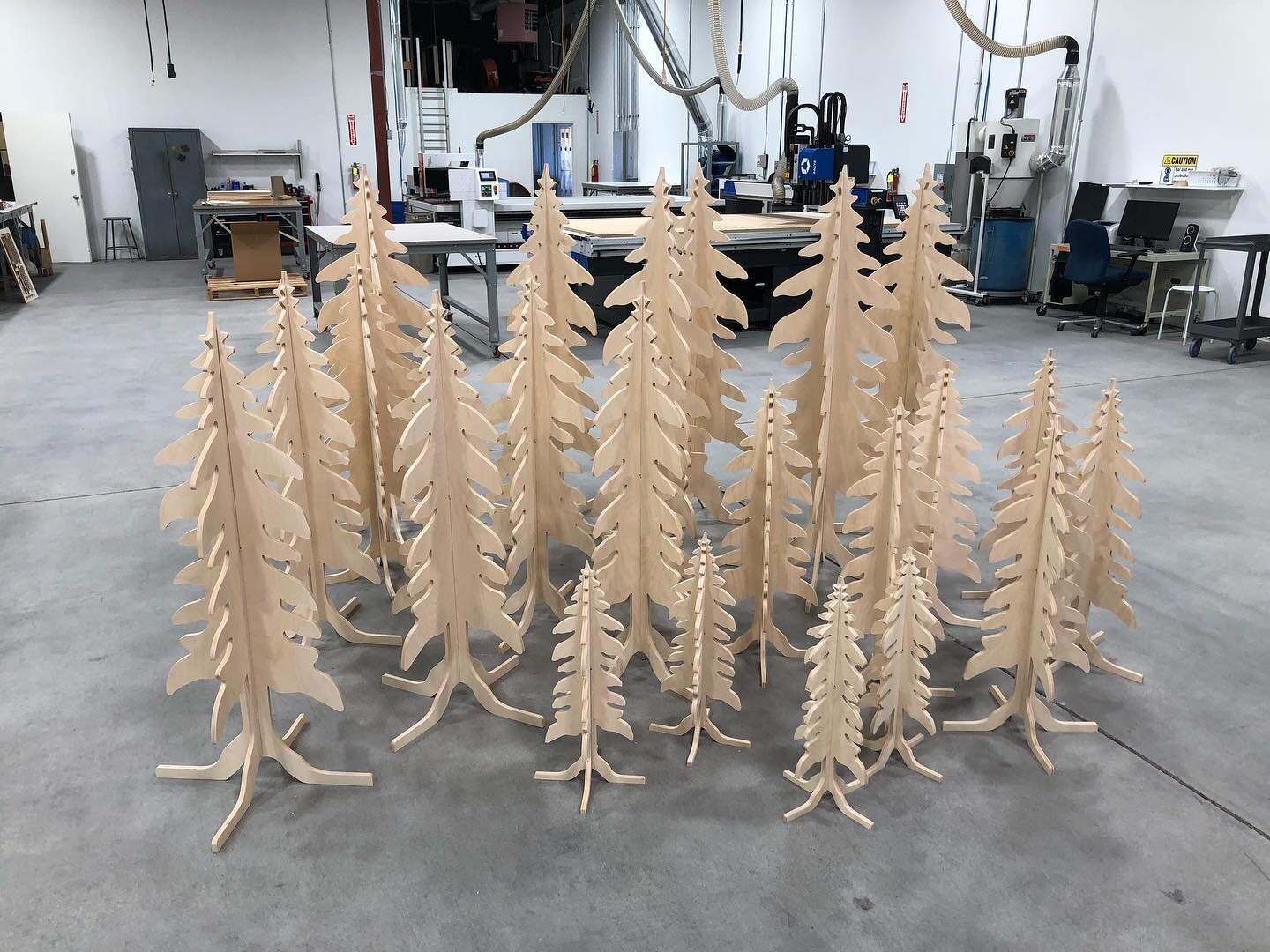 A forest in our shop. We cut a bunch of trees  for Stanford in the shape of their logo. Fun! #cncrouter #stanforduniversity