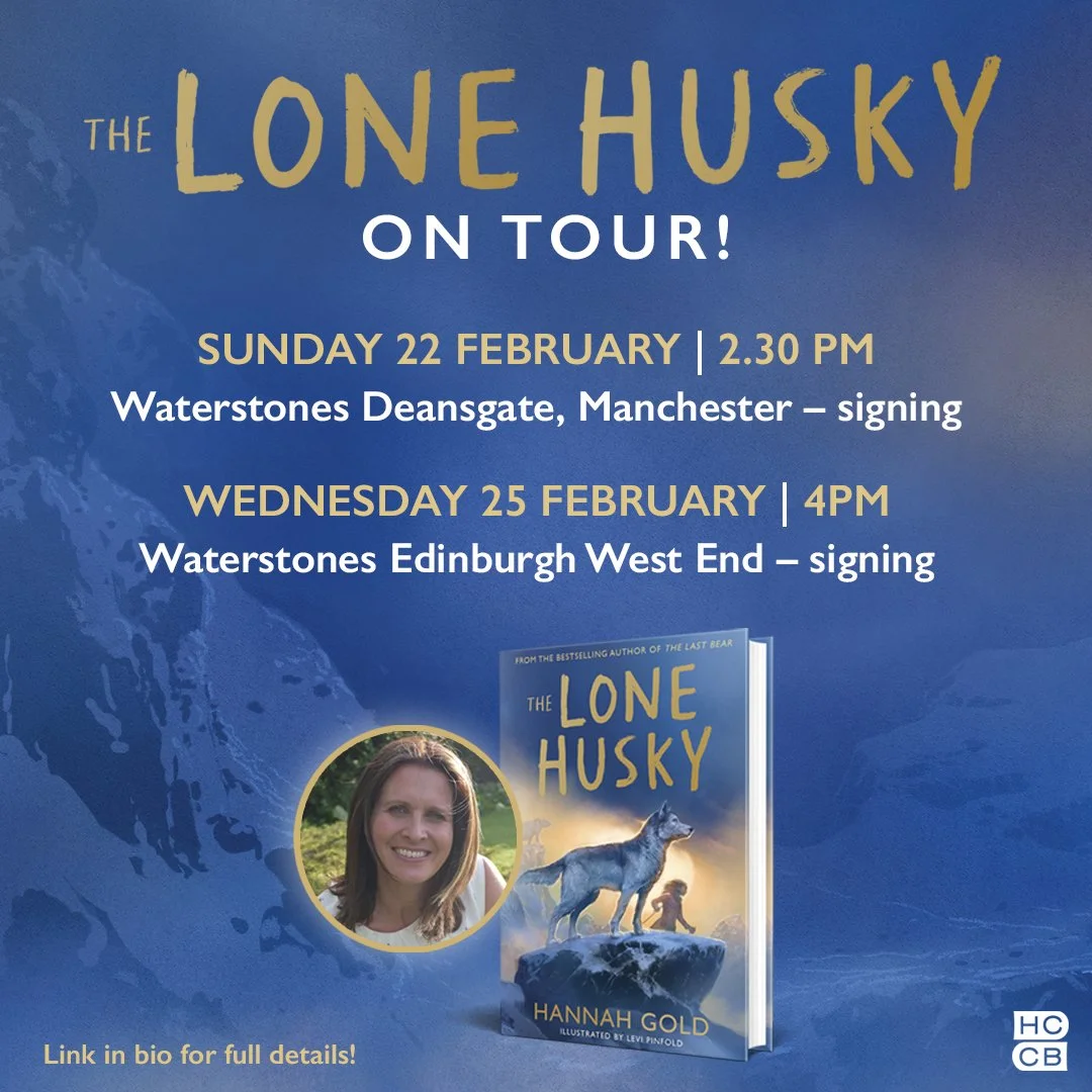 SQ - FEB 26 - The Lone Husky.jpg